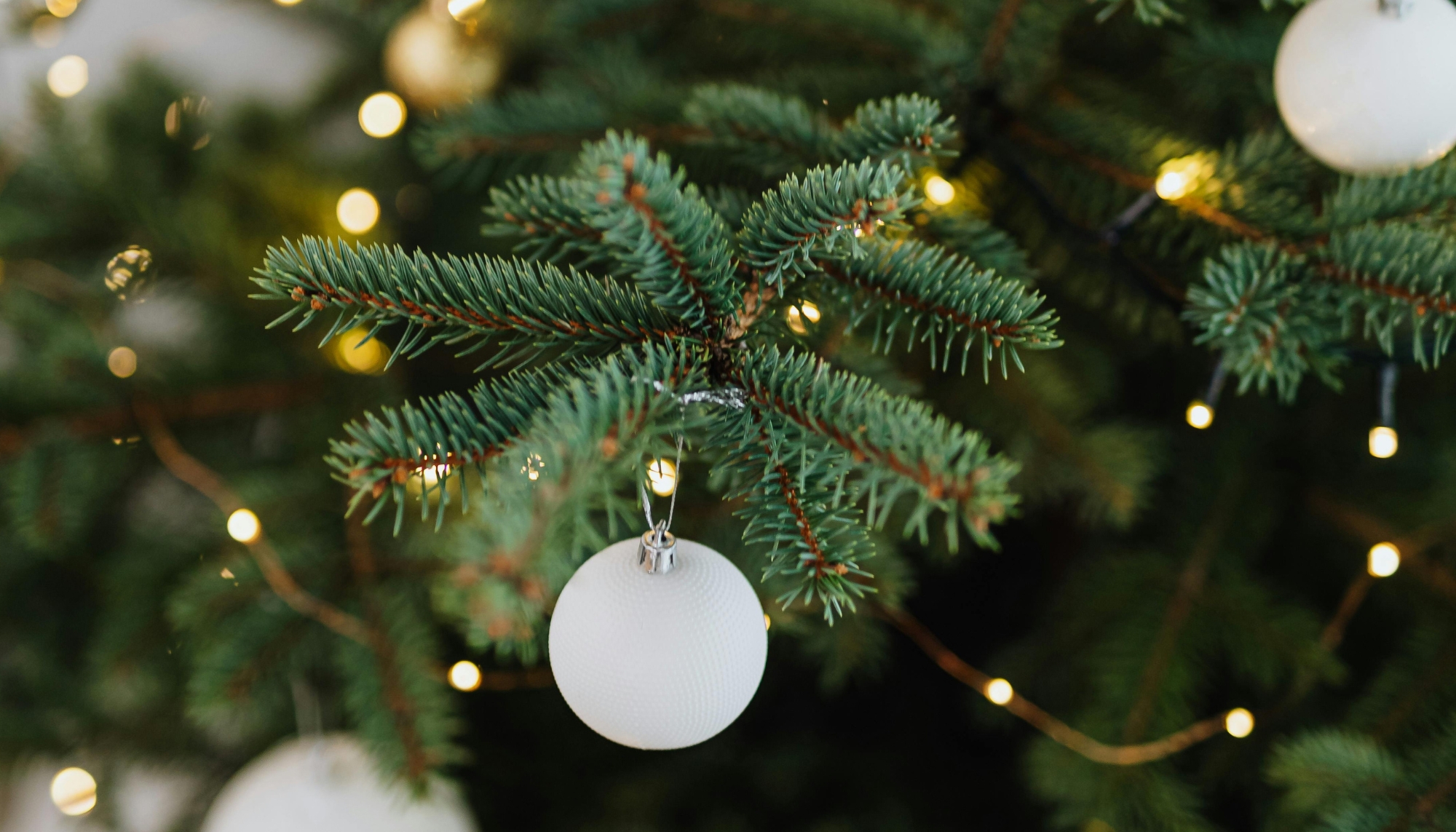 Full width project banner image