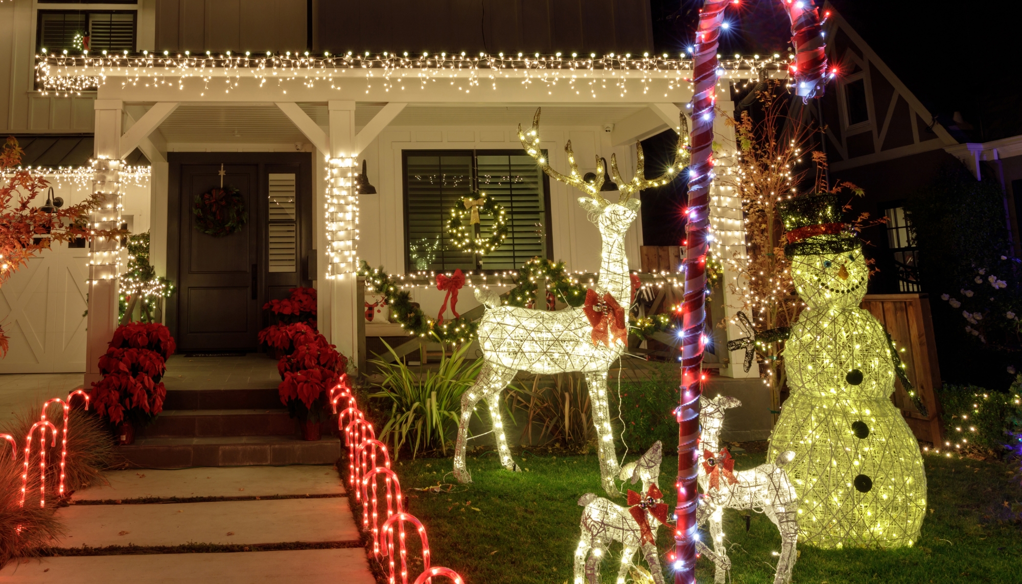 Full width project banner image