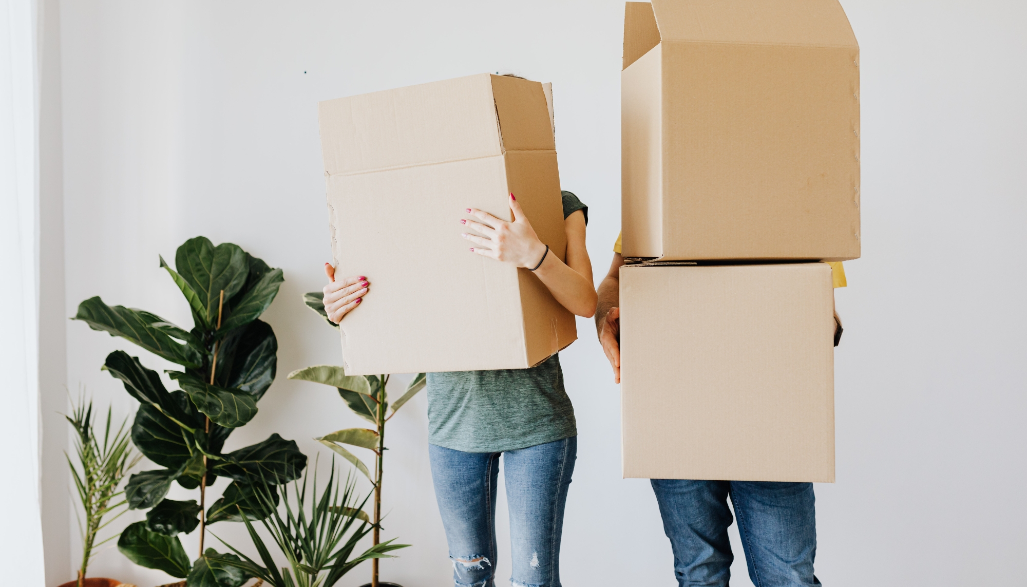 Blog post card image