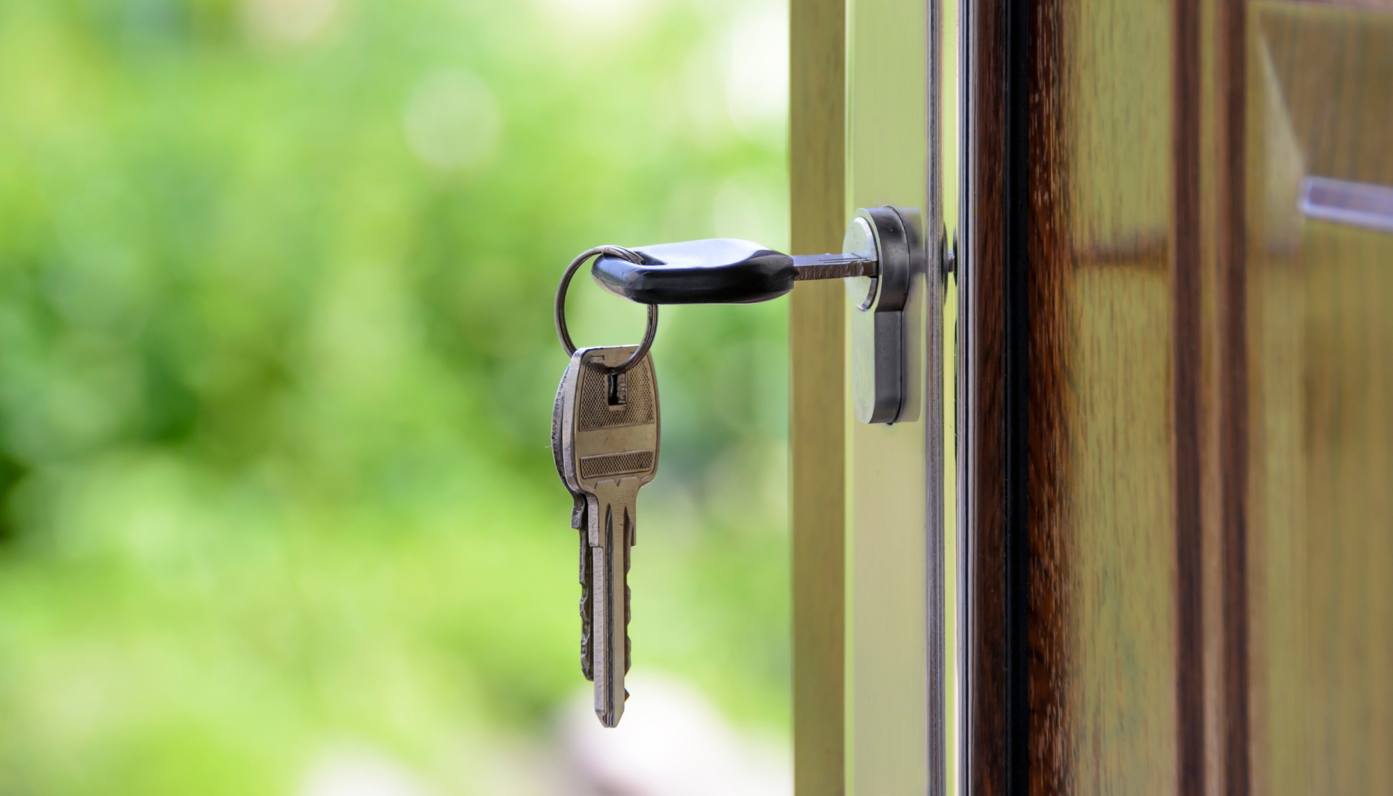 Full width project banner image