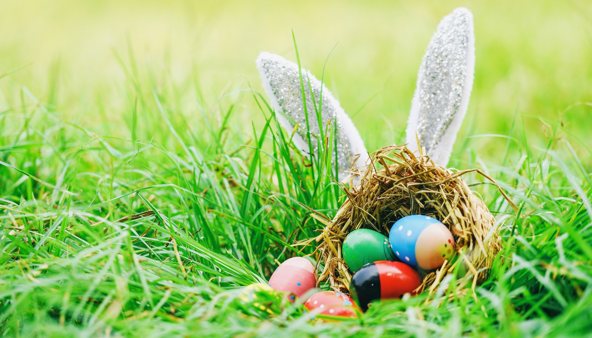 Full width project banner image