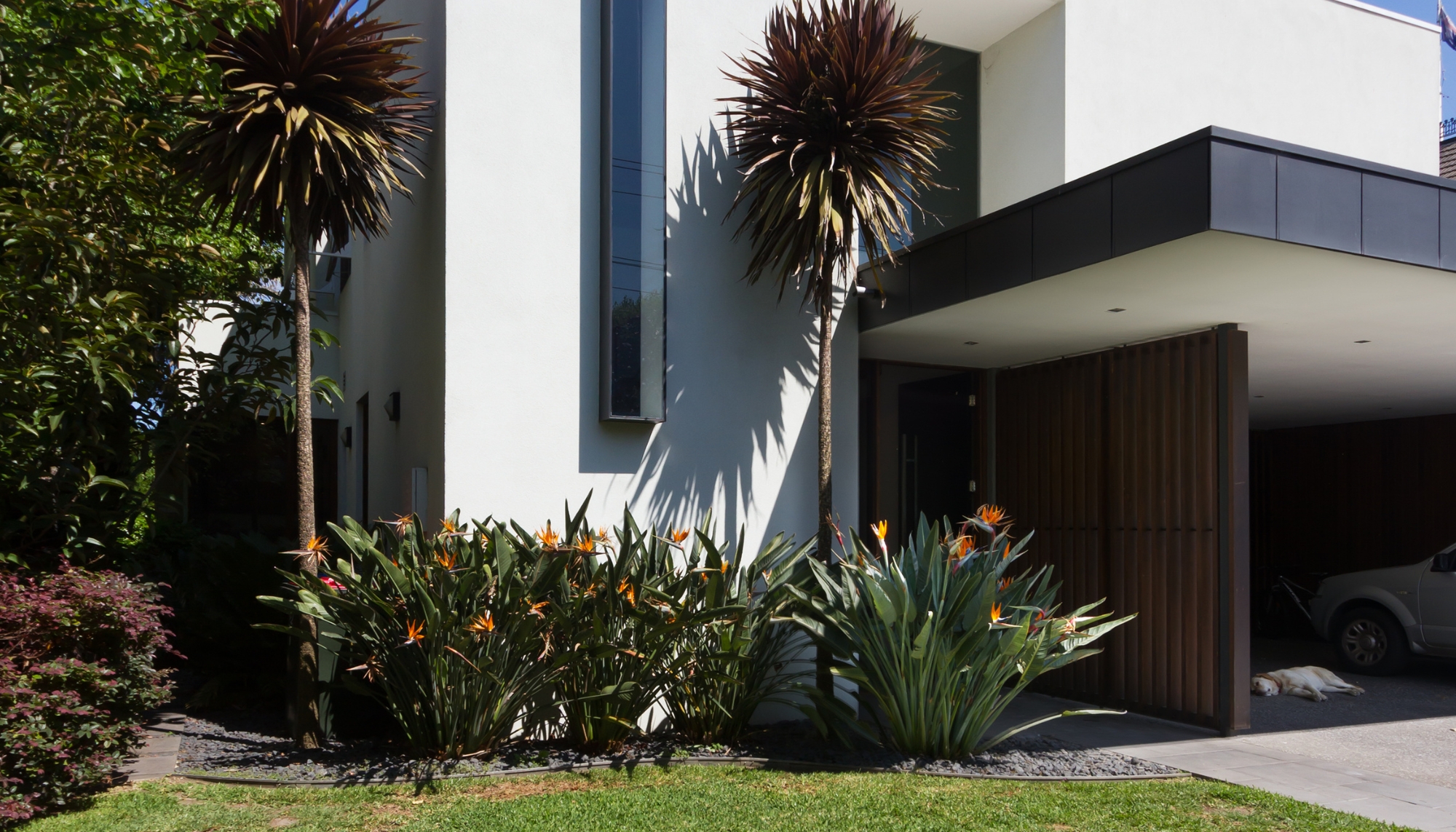 Full width project banner image