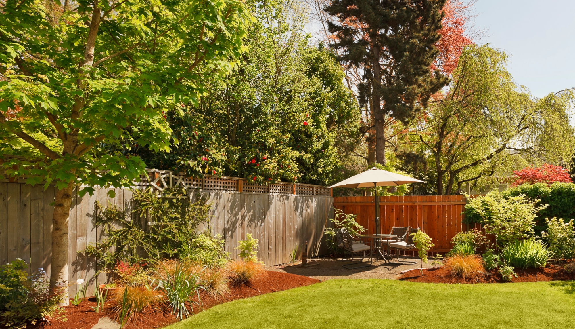 Full width project banner image