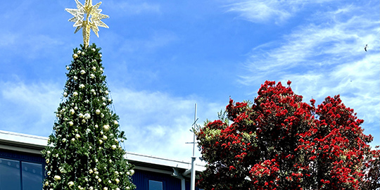 Blog post card image