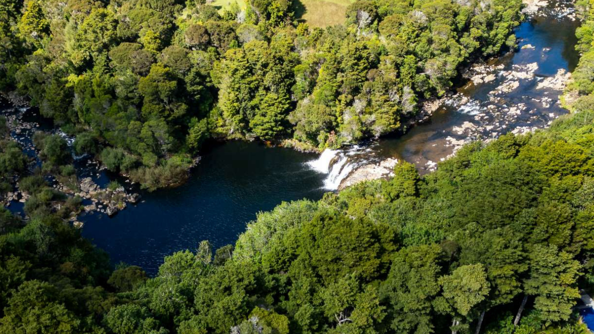 Full width project banner image