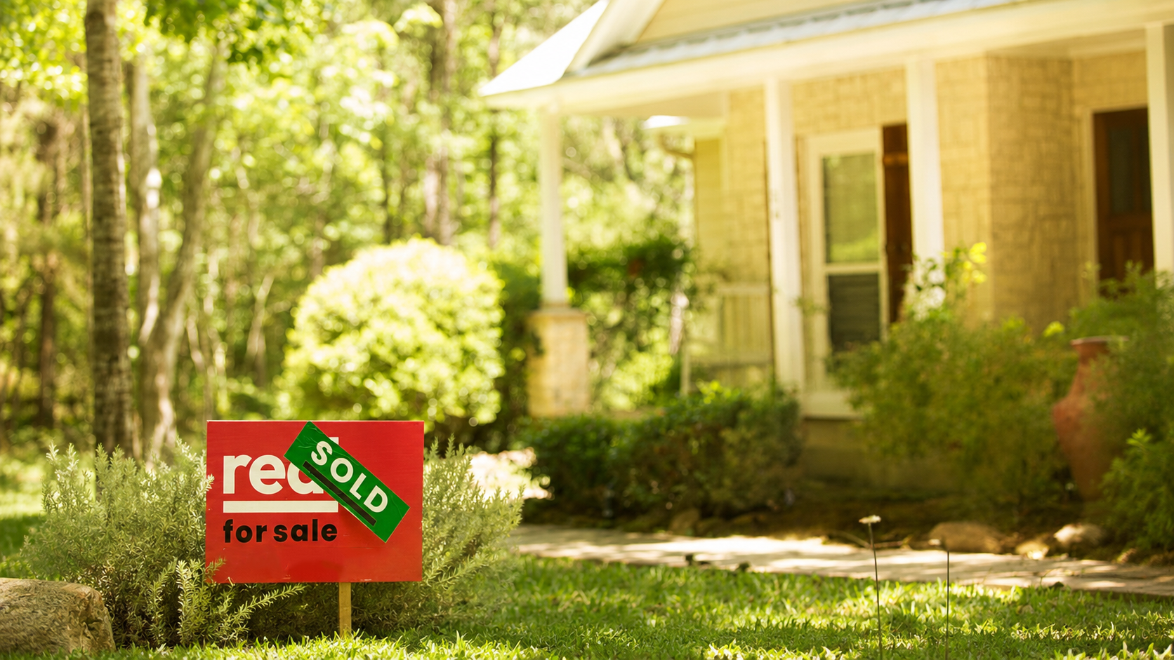 Full width project banner image