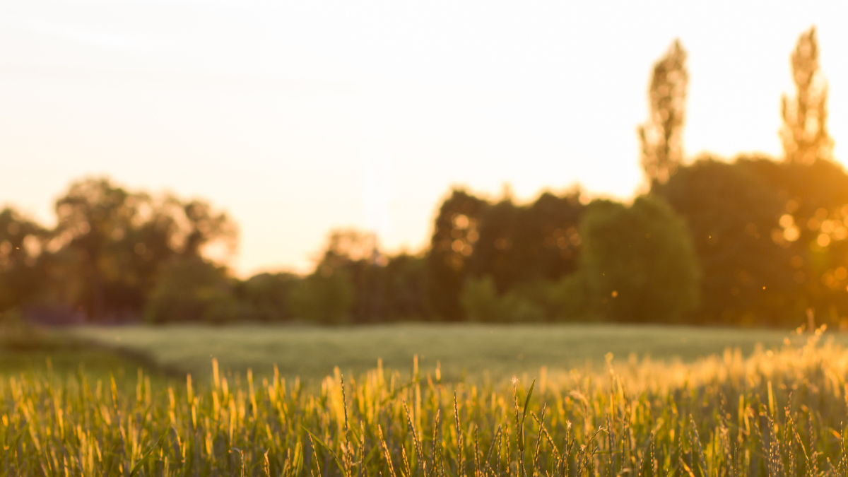 Full width project banner image