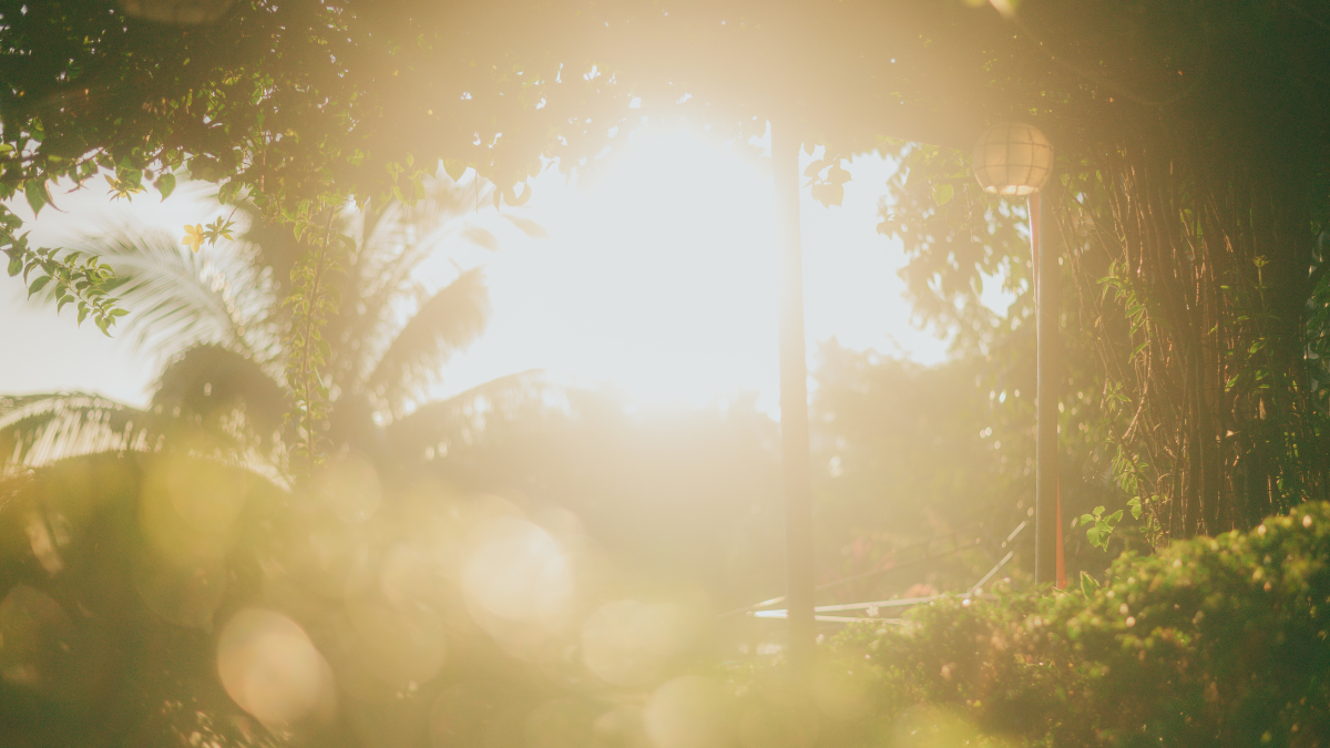 Full width project banner image