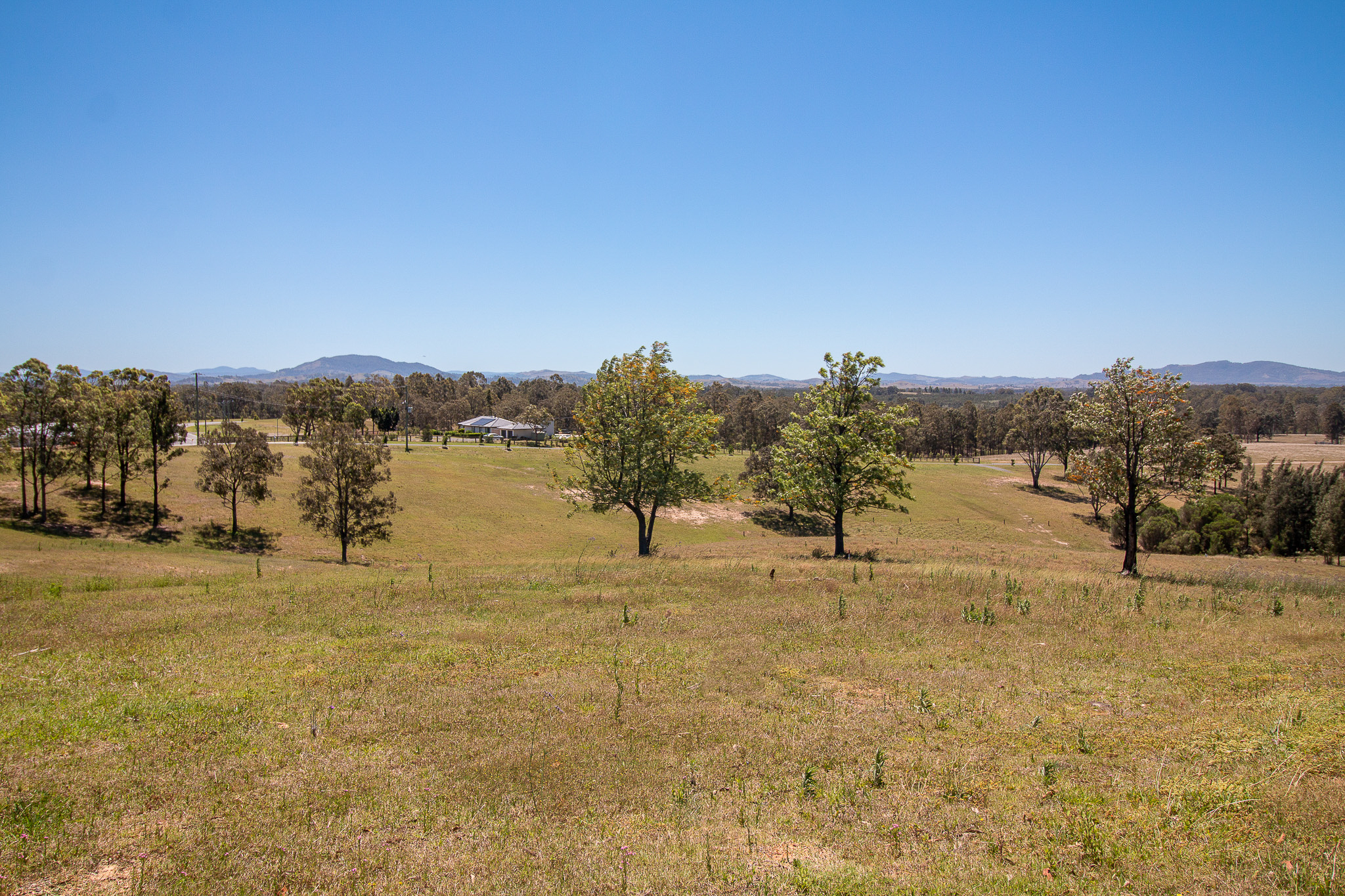 Full width project banner image