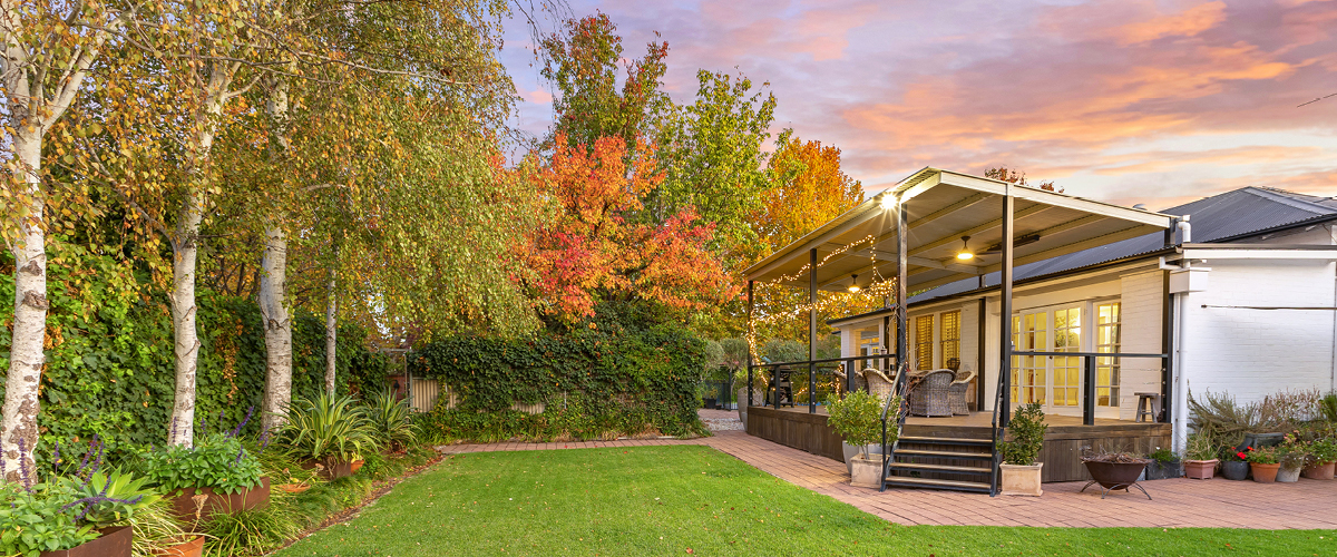 Full width project banner image