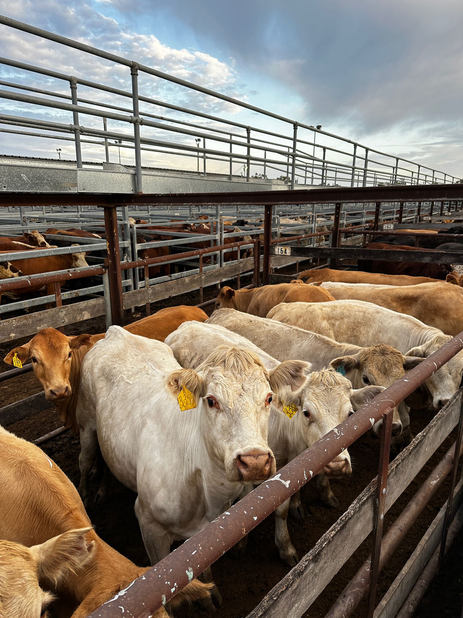 Blog post card image