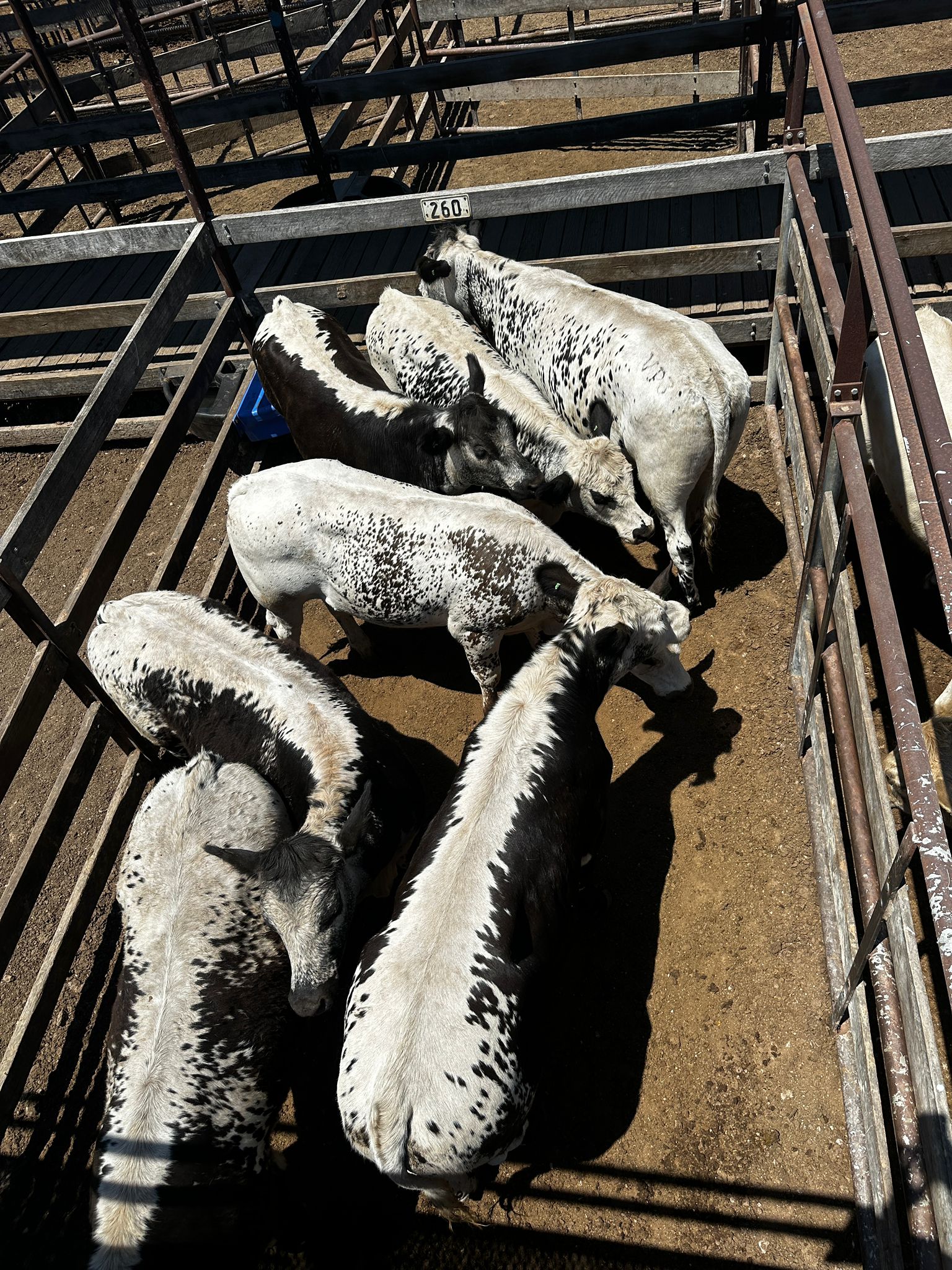 Full width project banner image