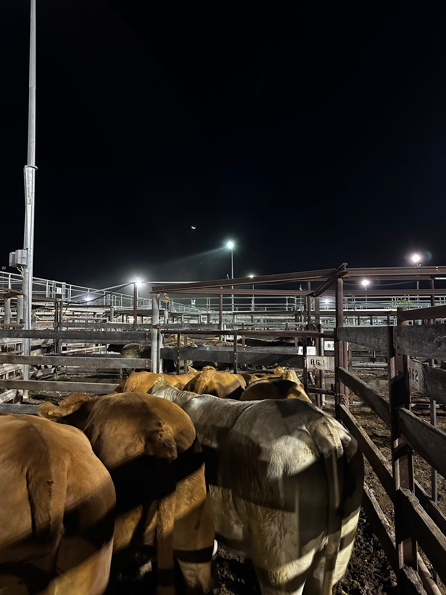 Blog post card image