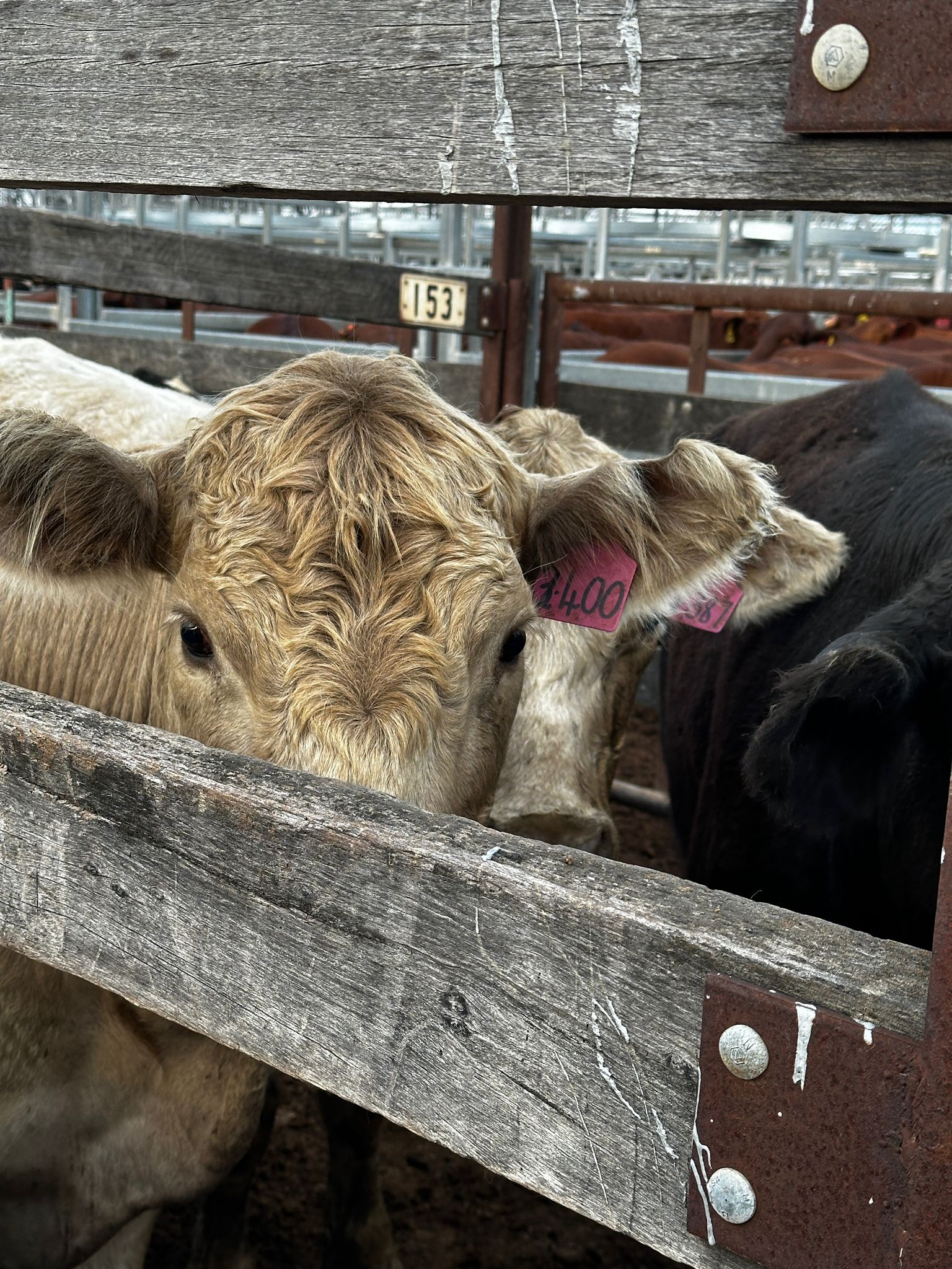 Blog post card image