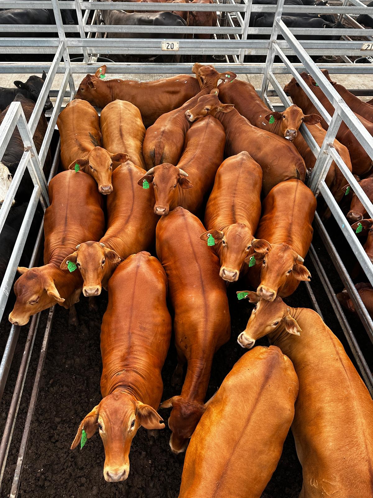 Blog post card image