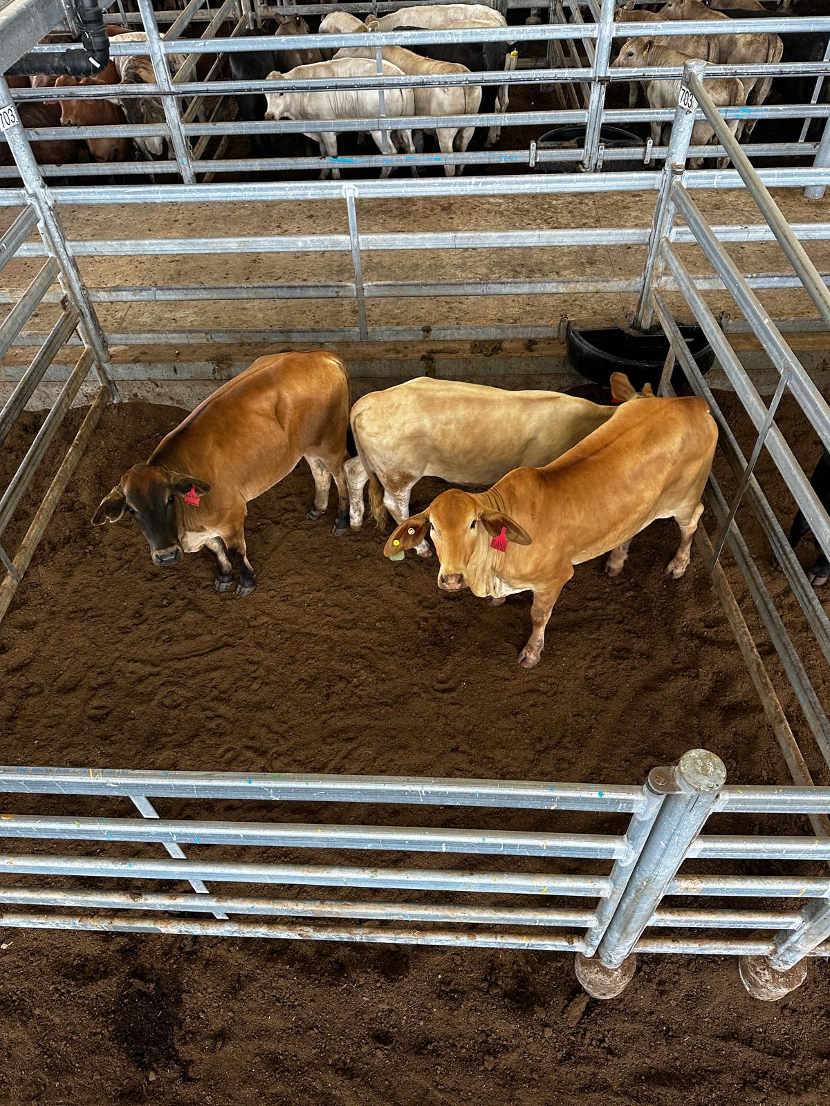 Full width project banner image