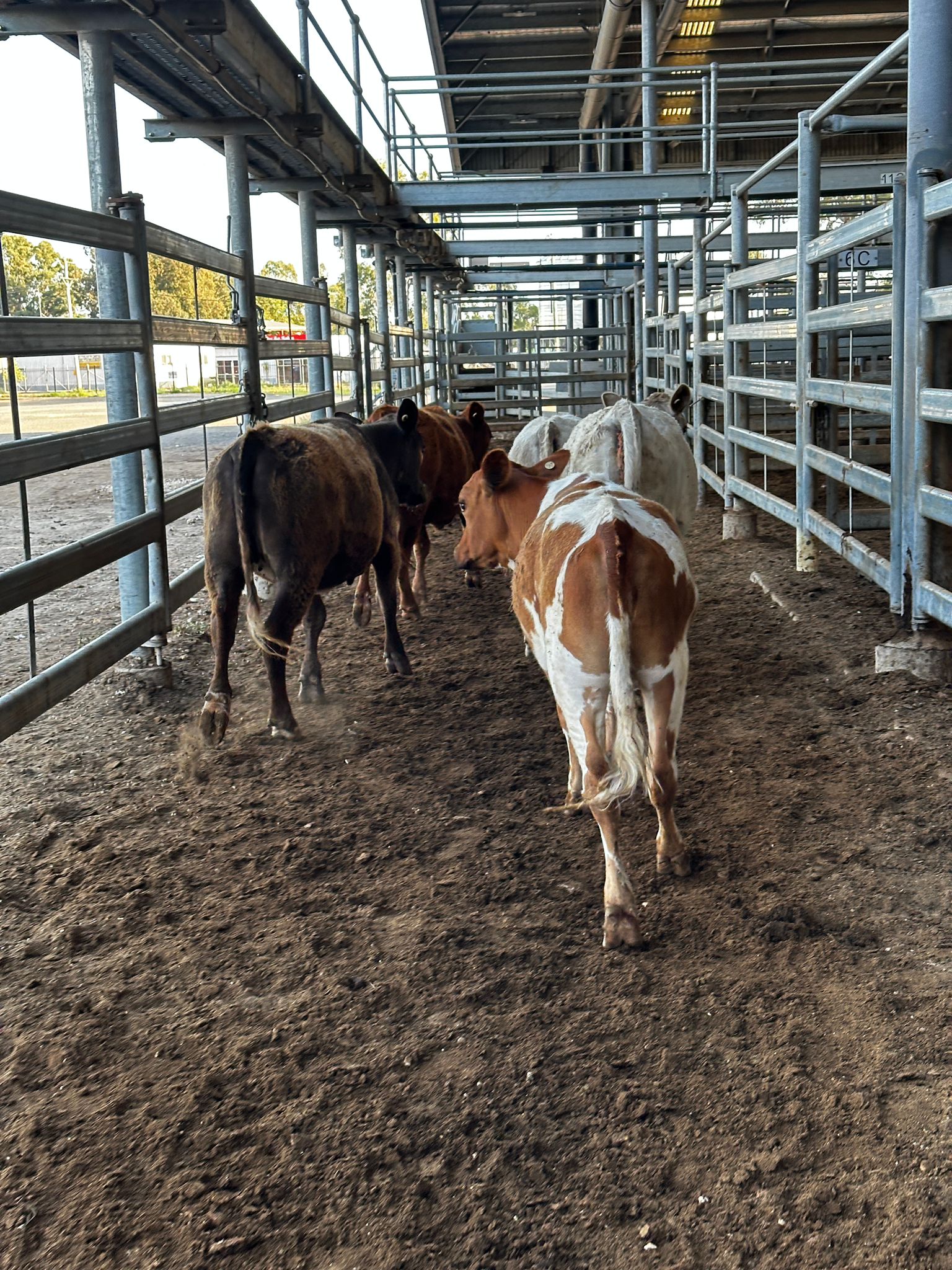 Blog post card image