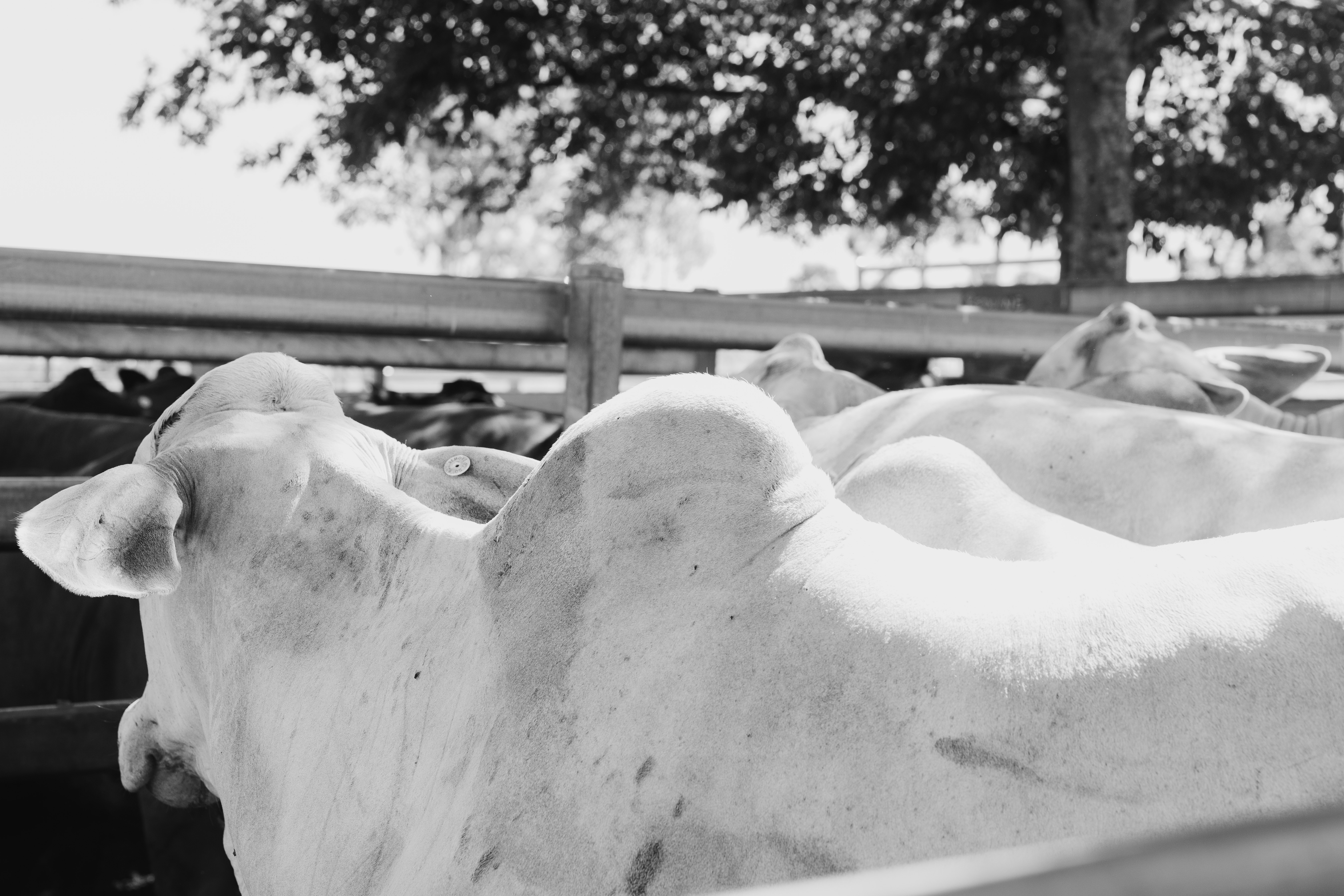 Blog post card image