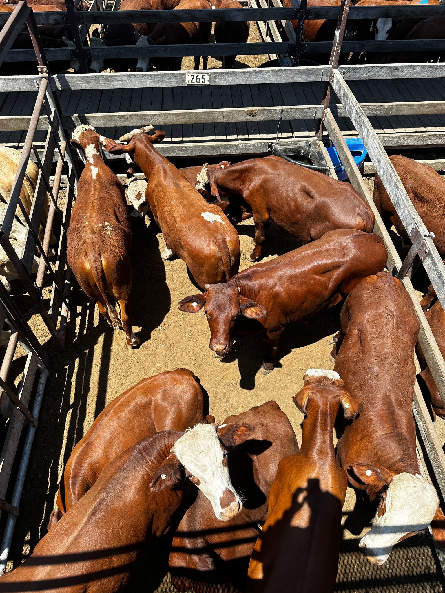 Blog post card image