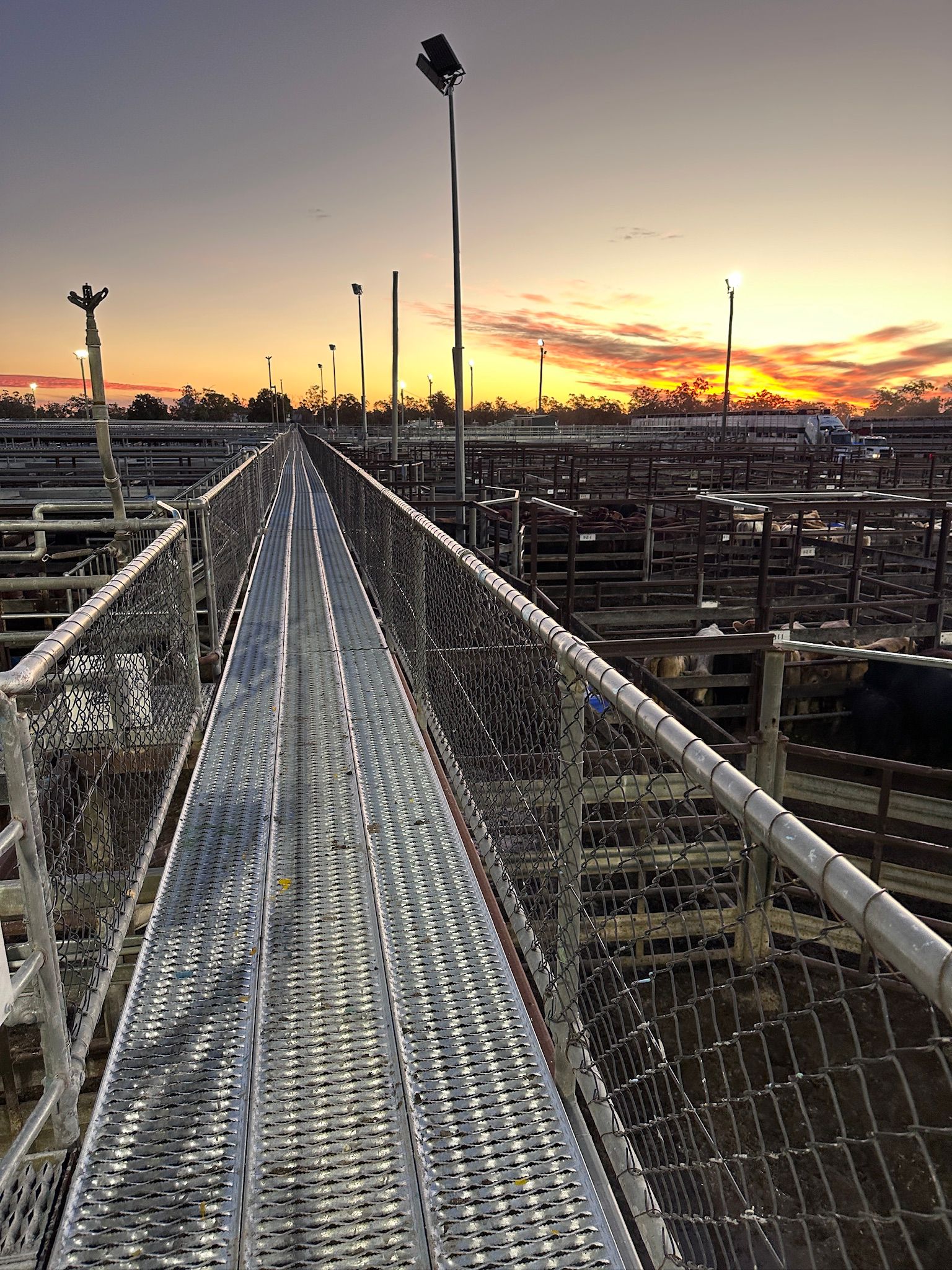 Blog post card image