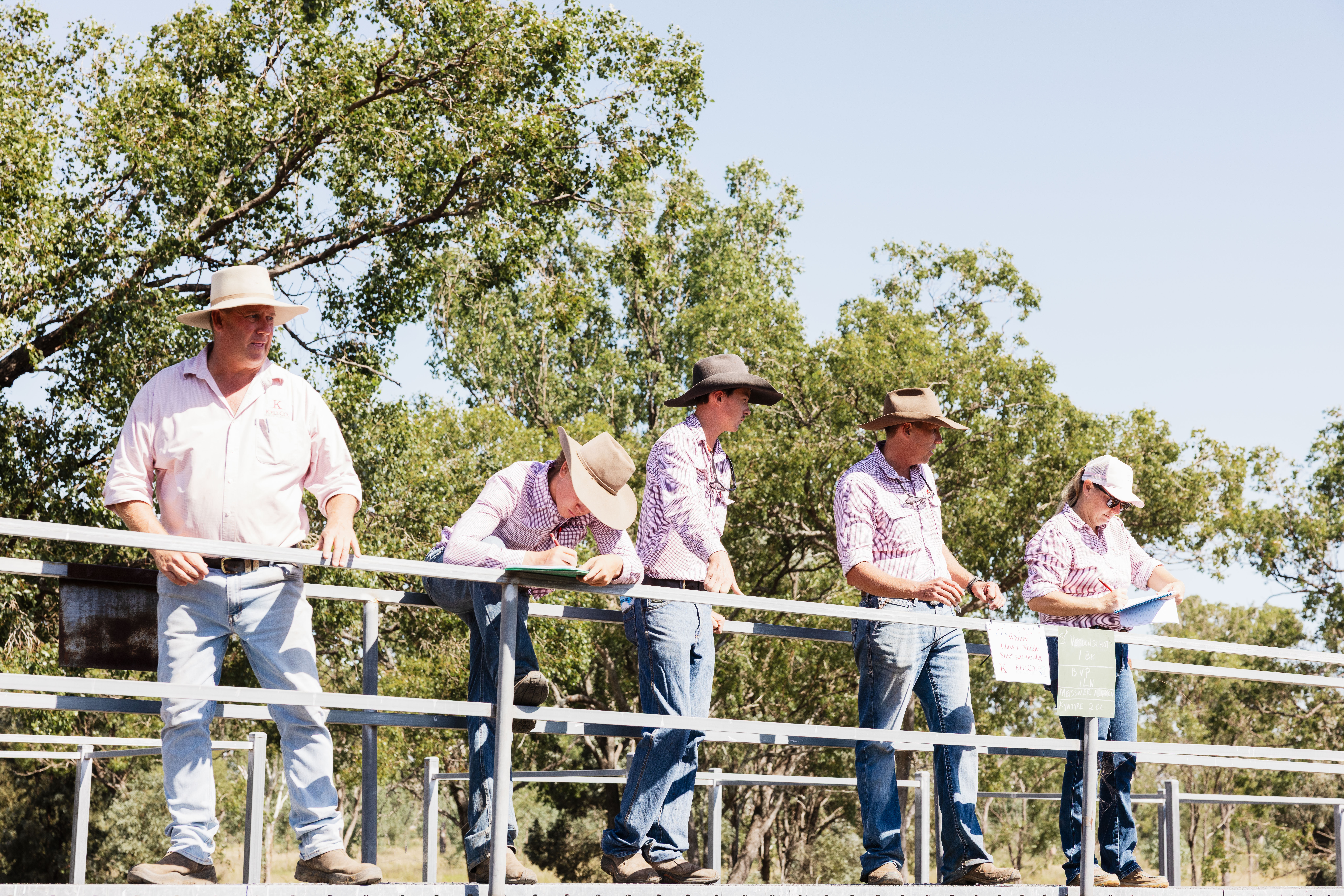 Full width project banner image