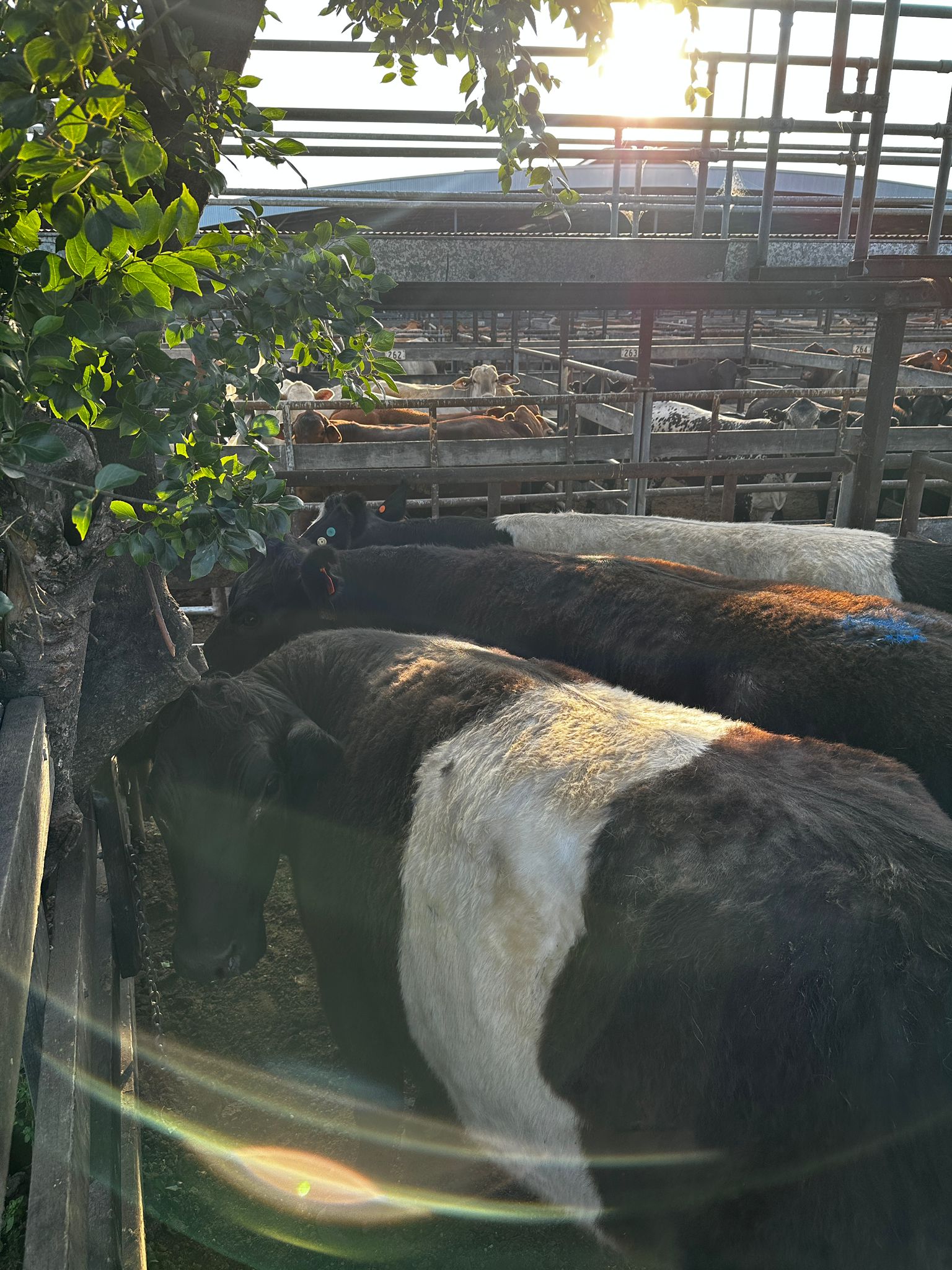 Blog post card image