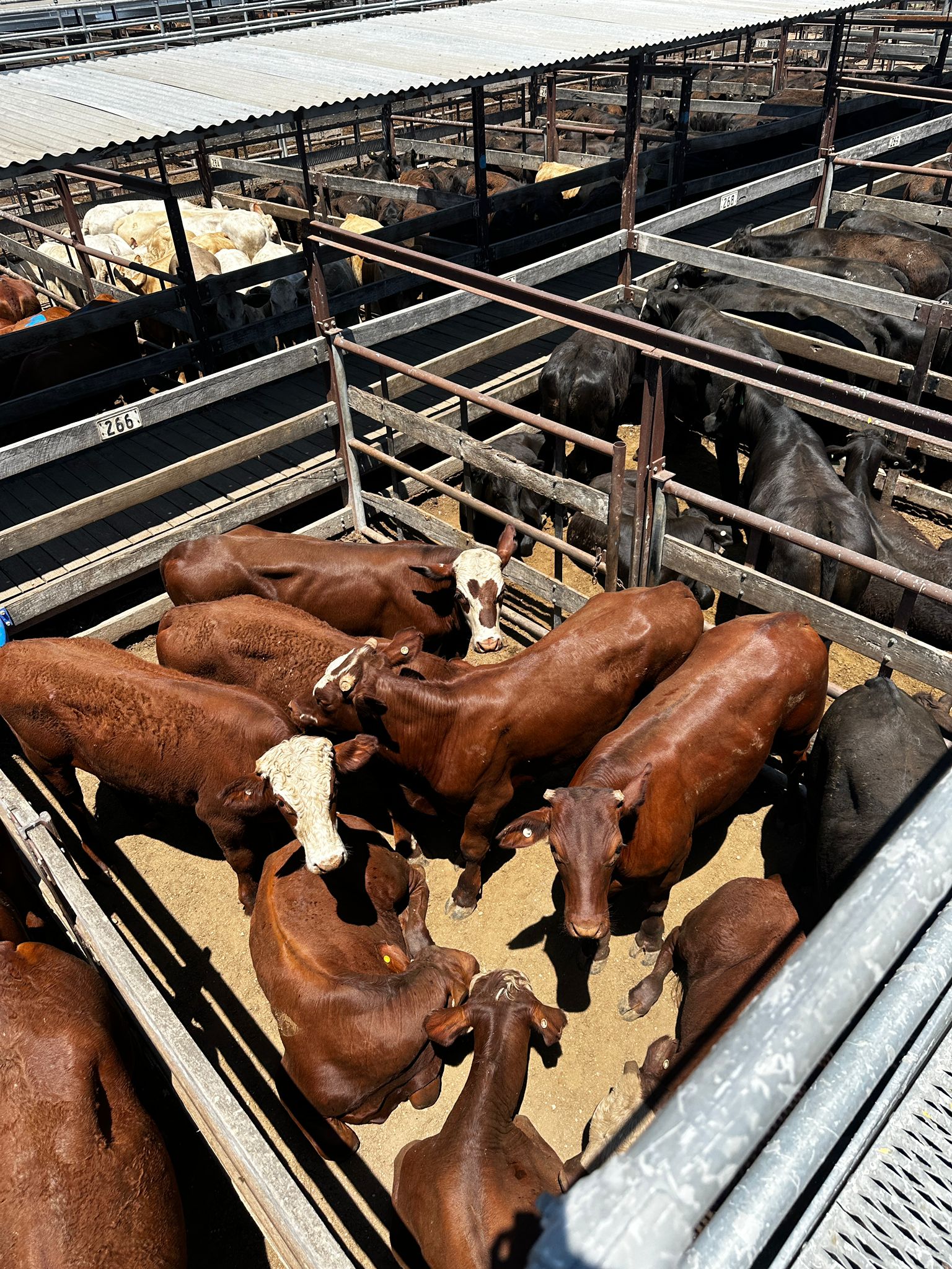 Blog post card image