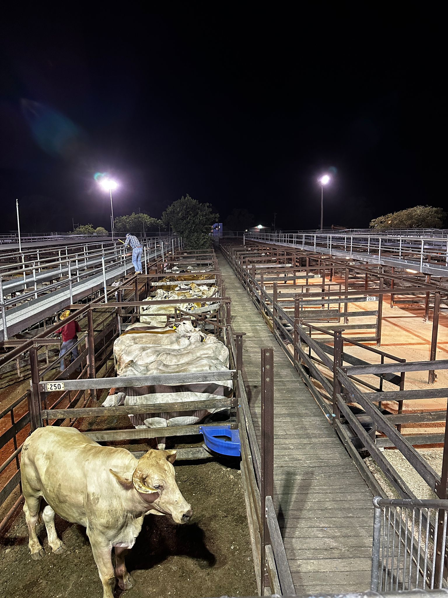 Blog post card image