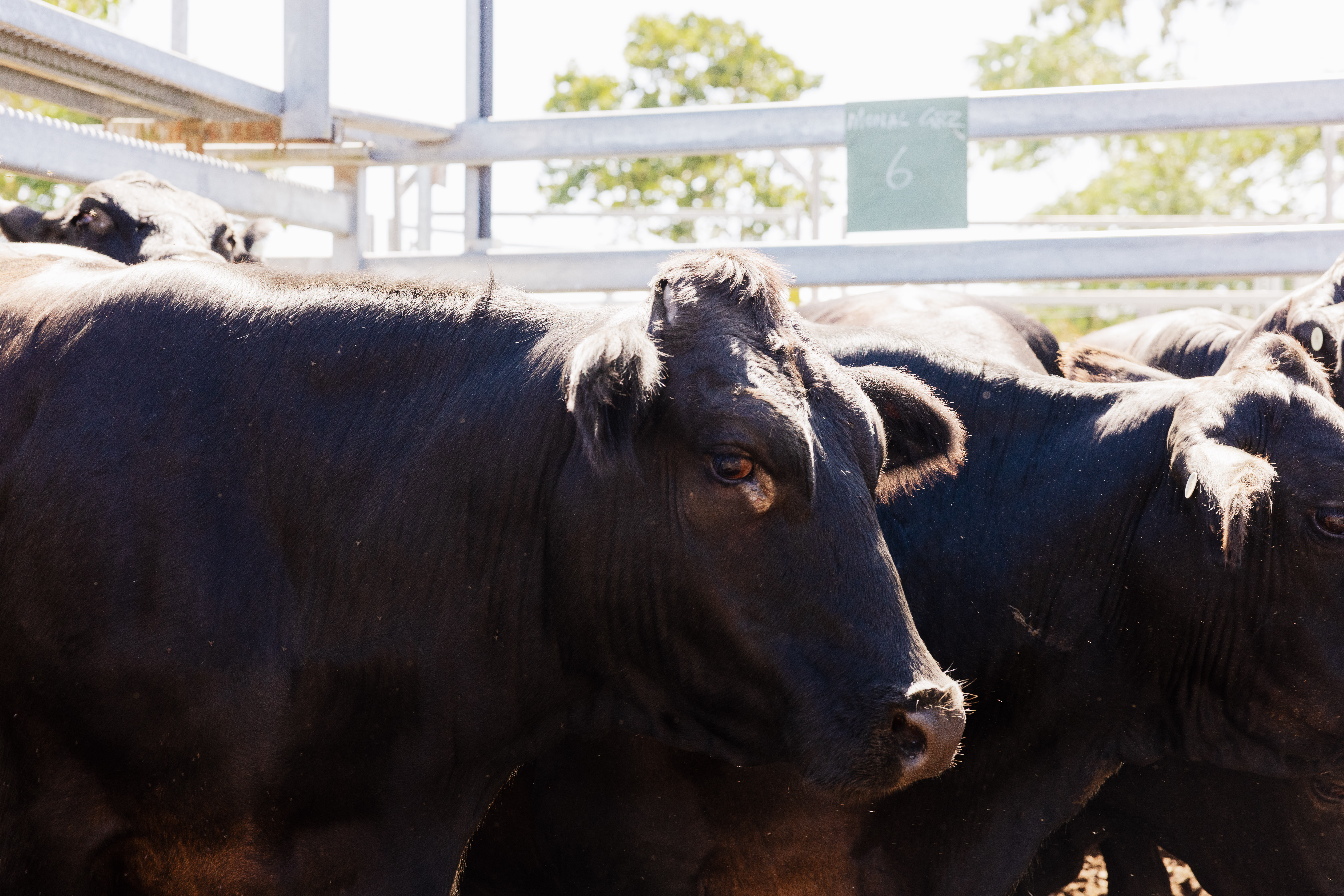 Full width project banner image