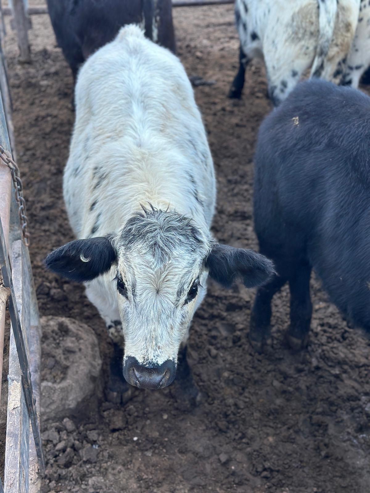 Blog post card image