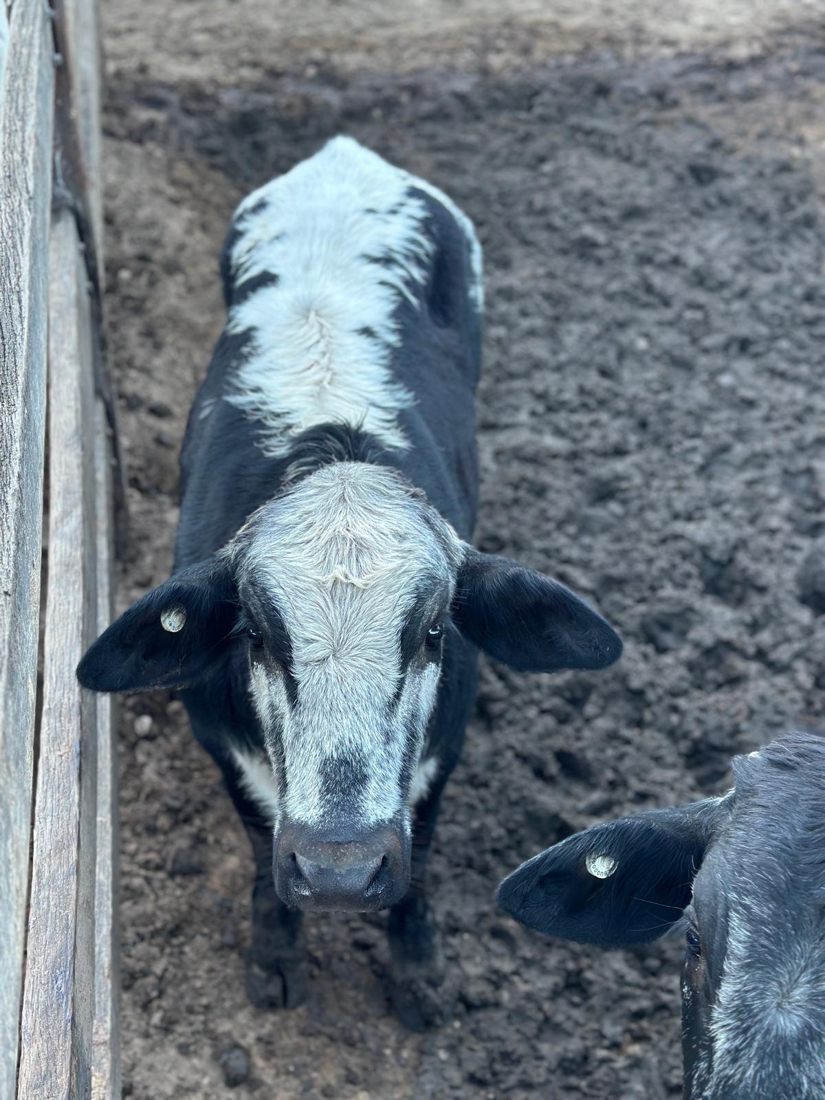 Blog post card image