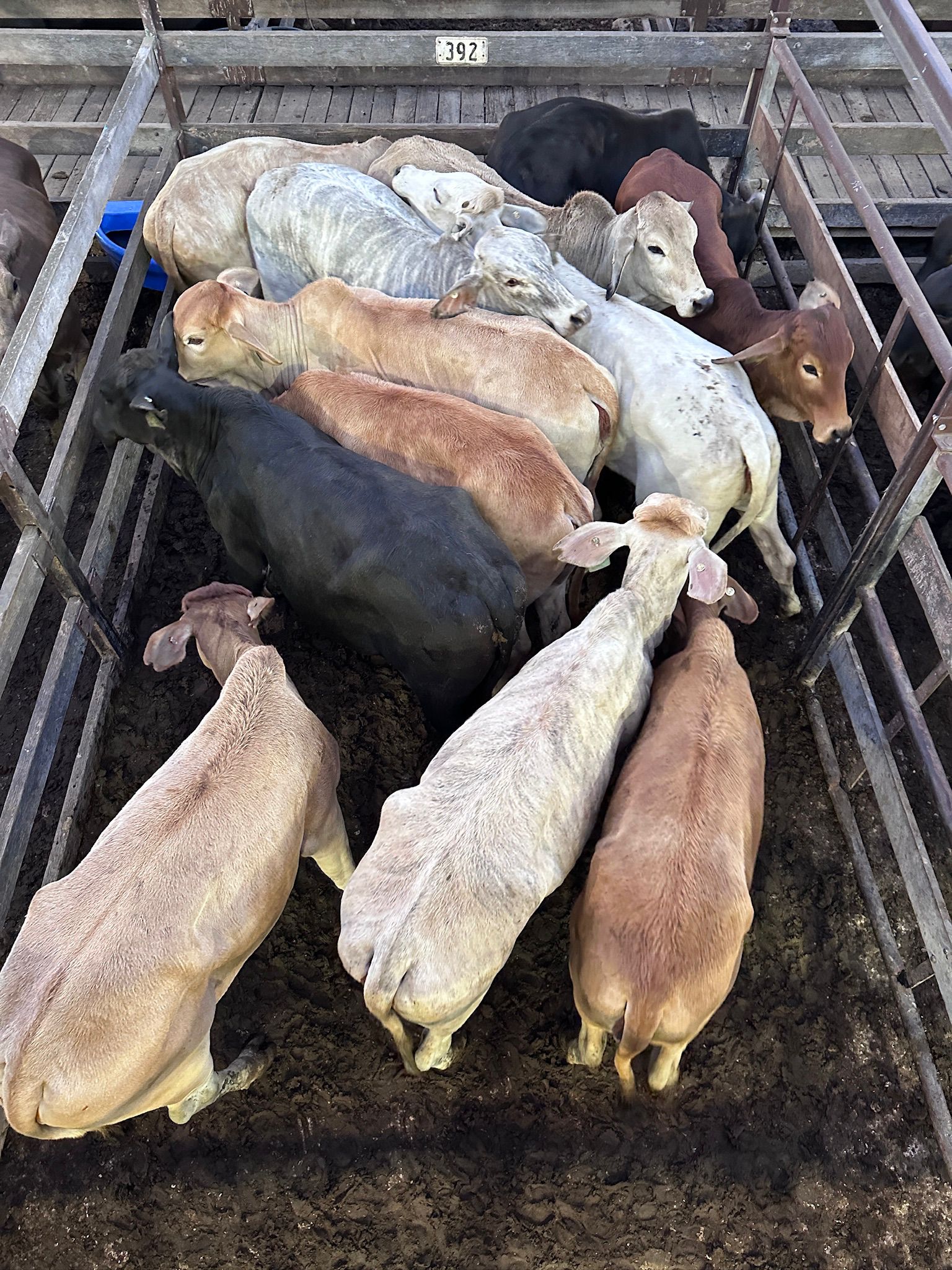 Blog post card image