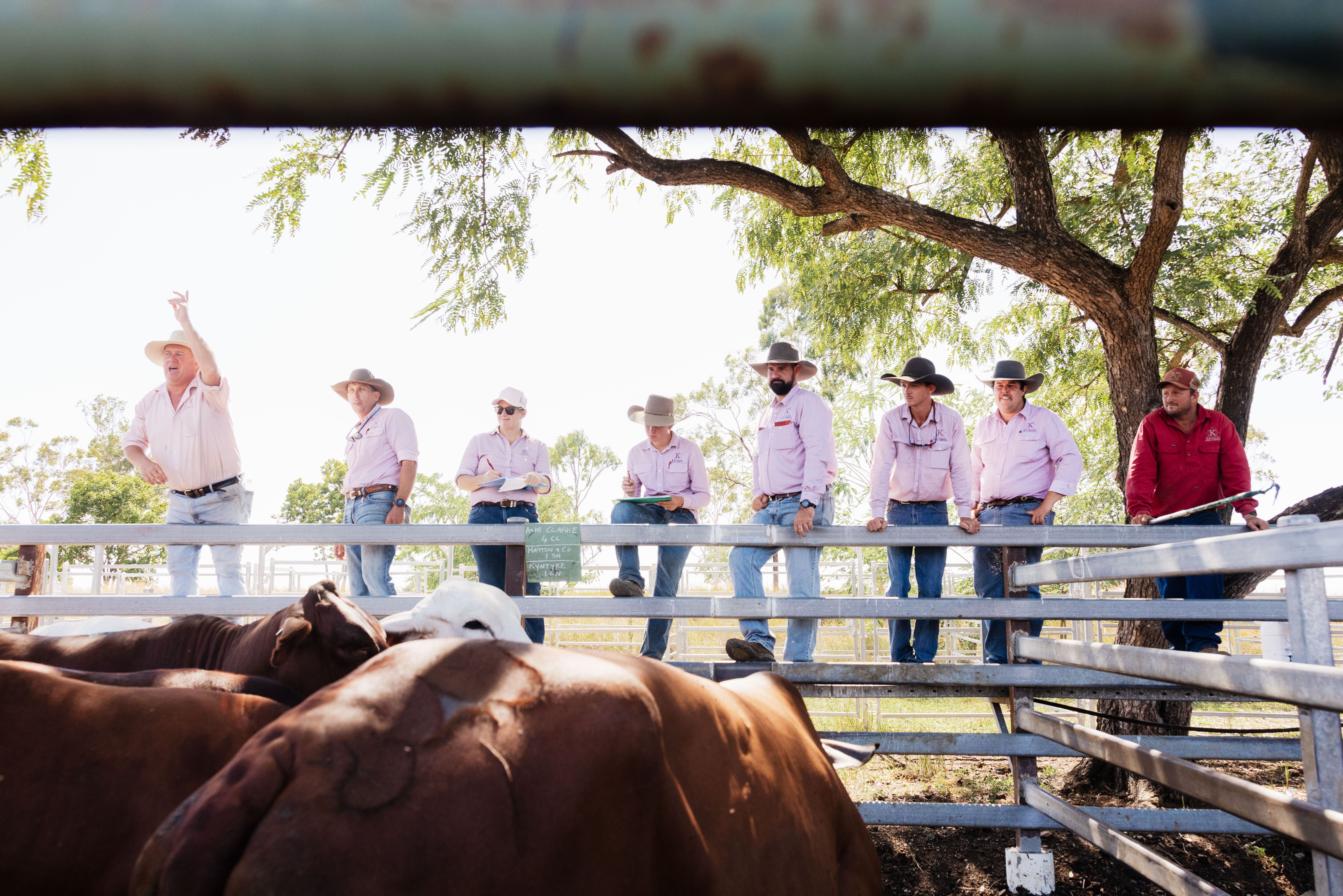 Blog post card image