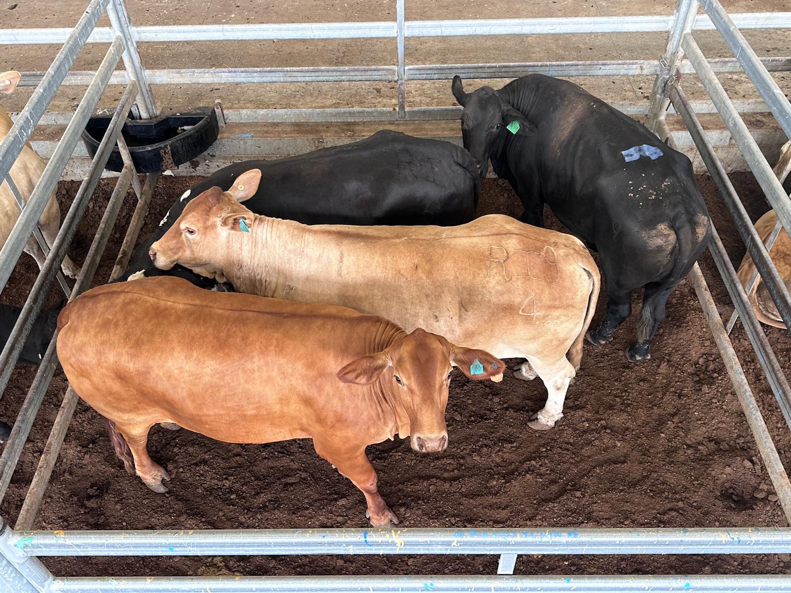 Full width project banner image