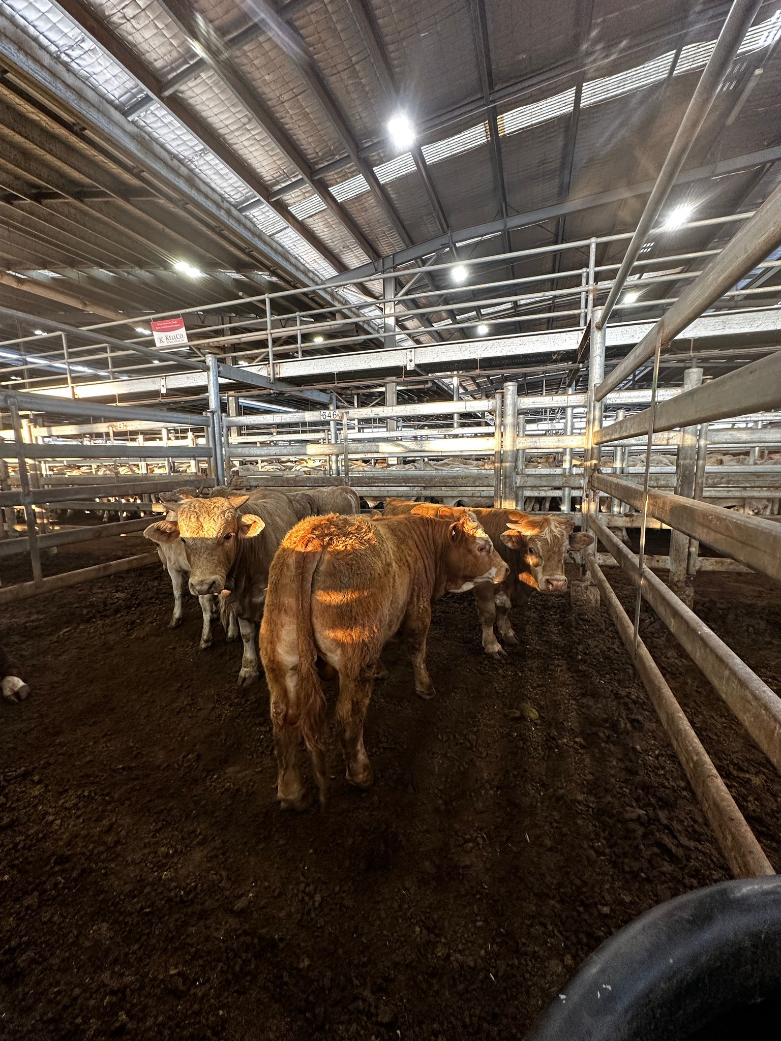 Blog post card image