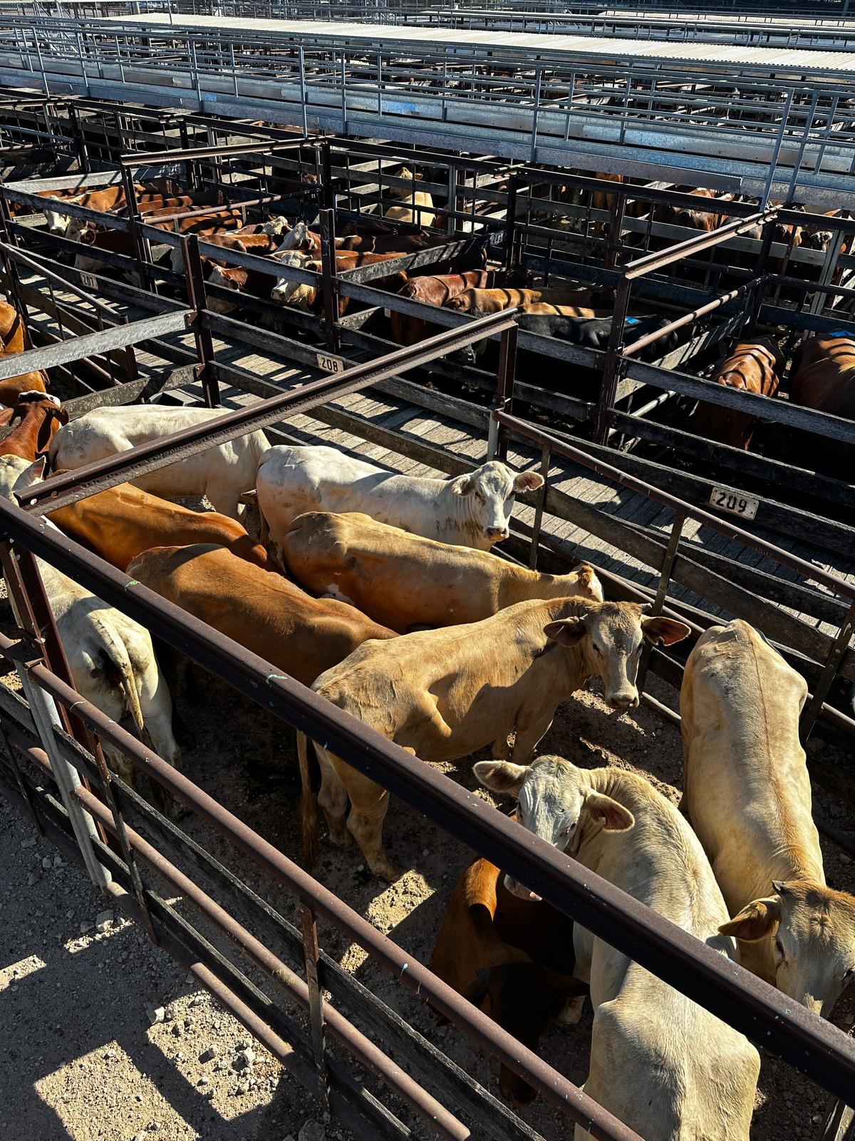 Blog post card image