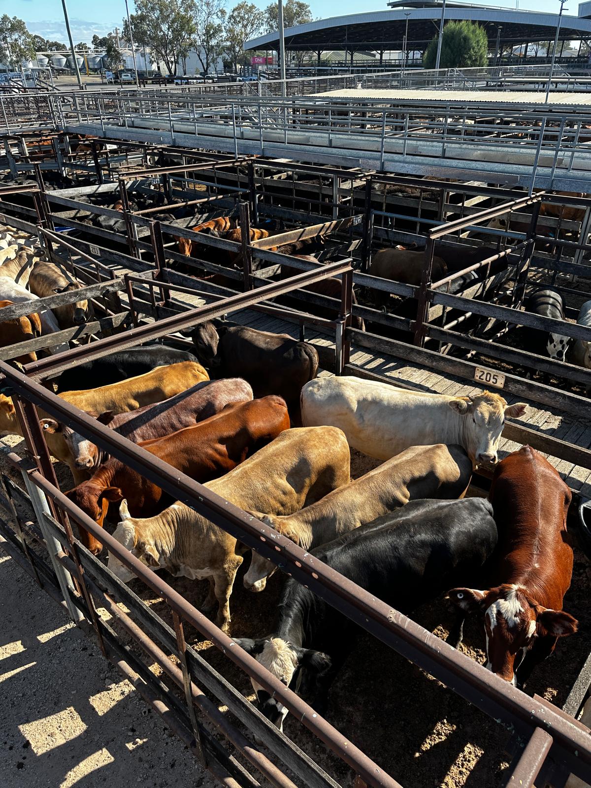 Blog post card image