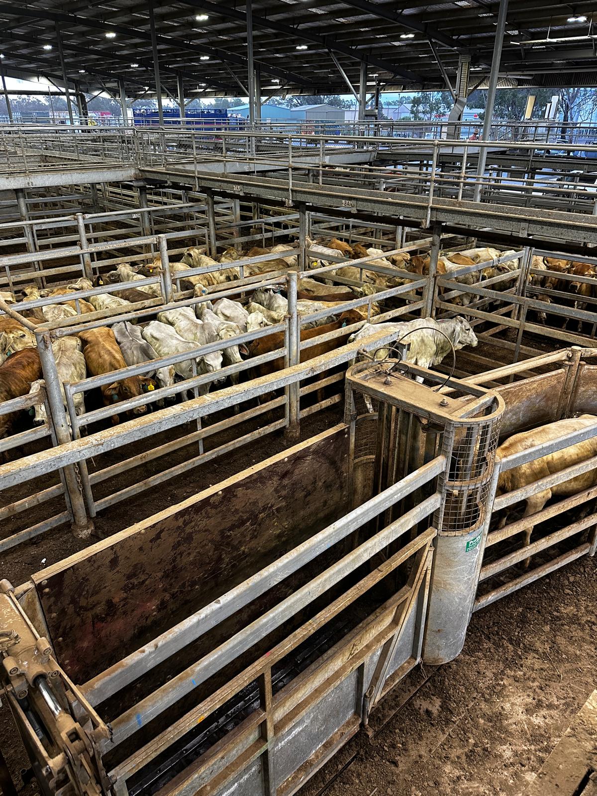 Blog post card image