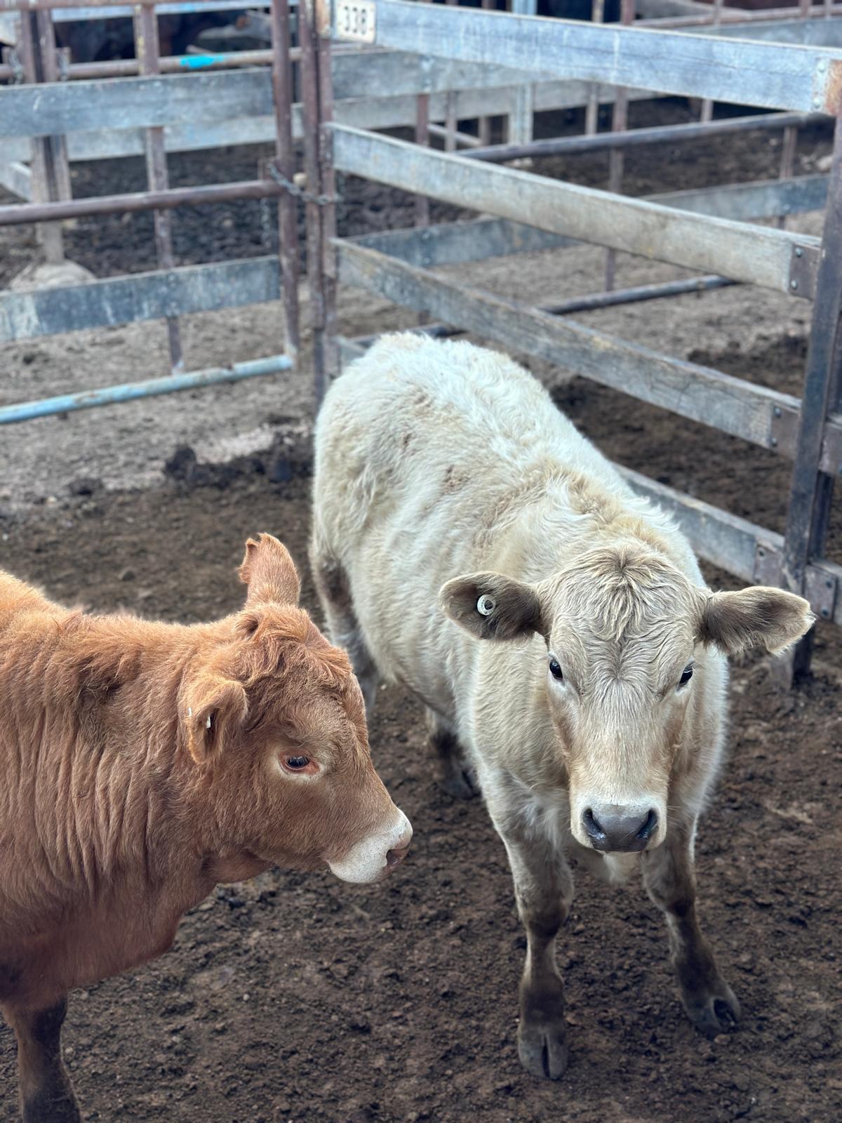 Blog post card image