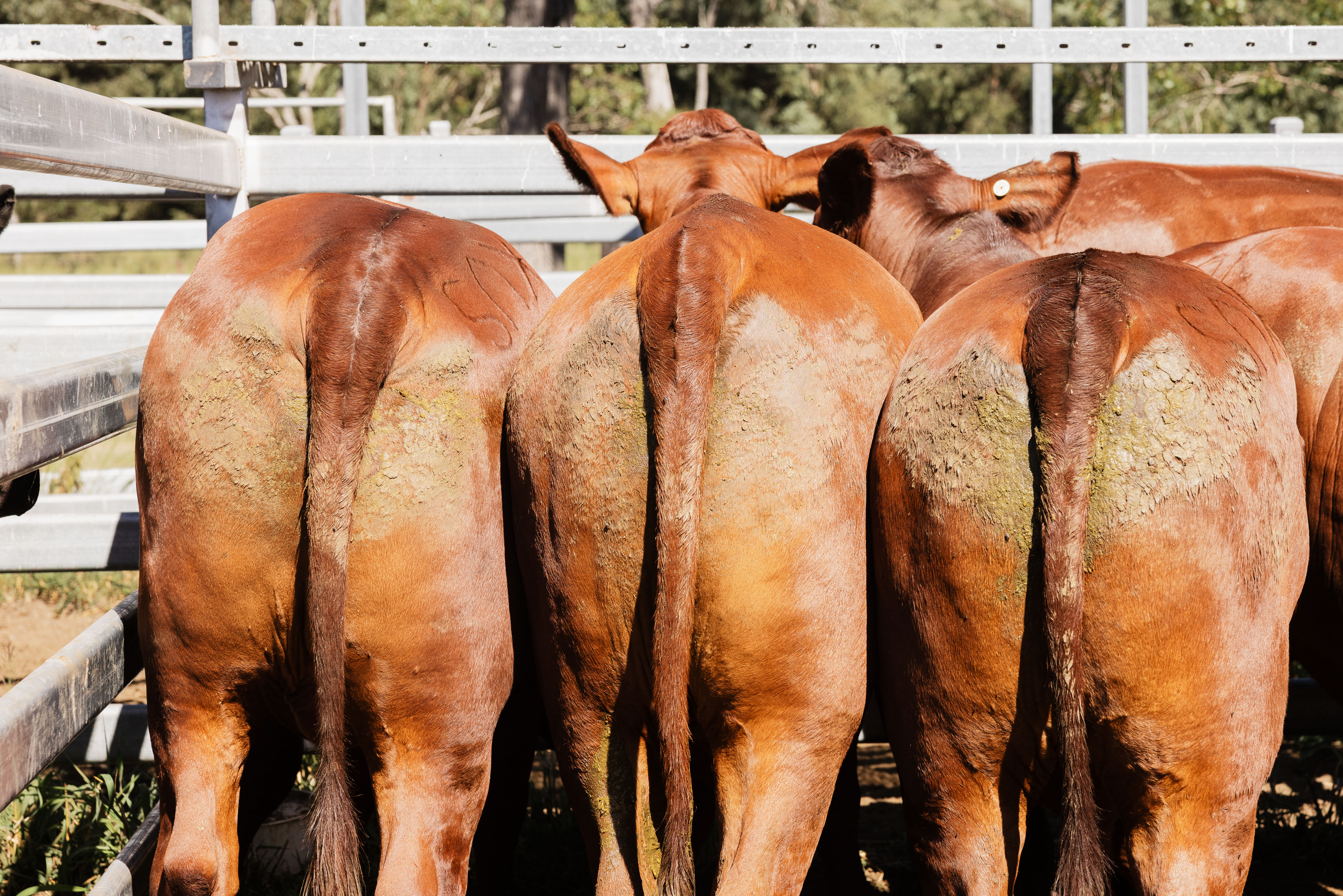 Blog post card image