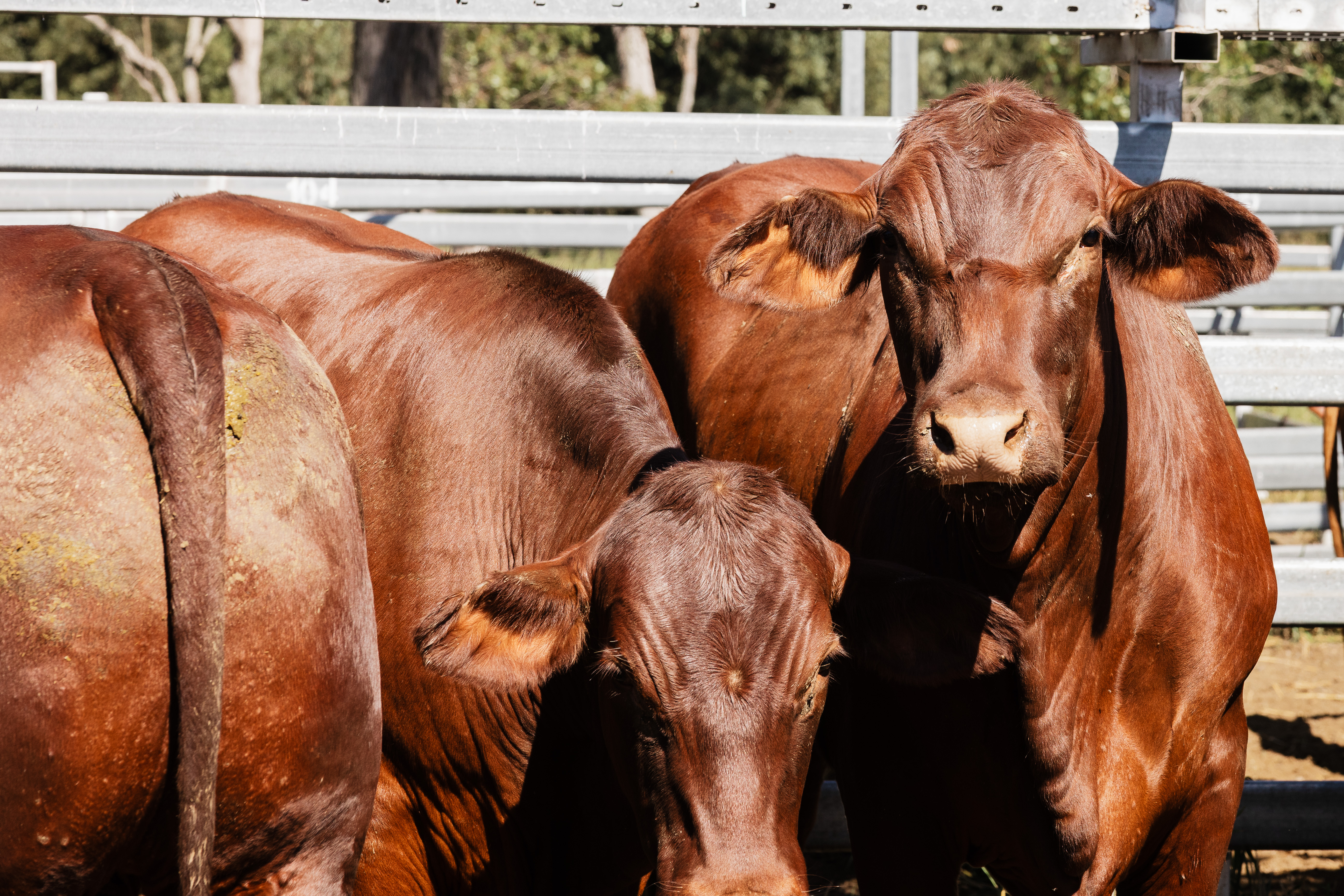 Blog post card image