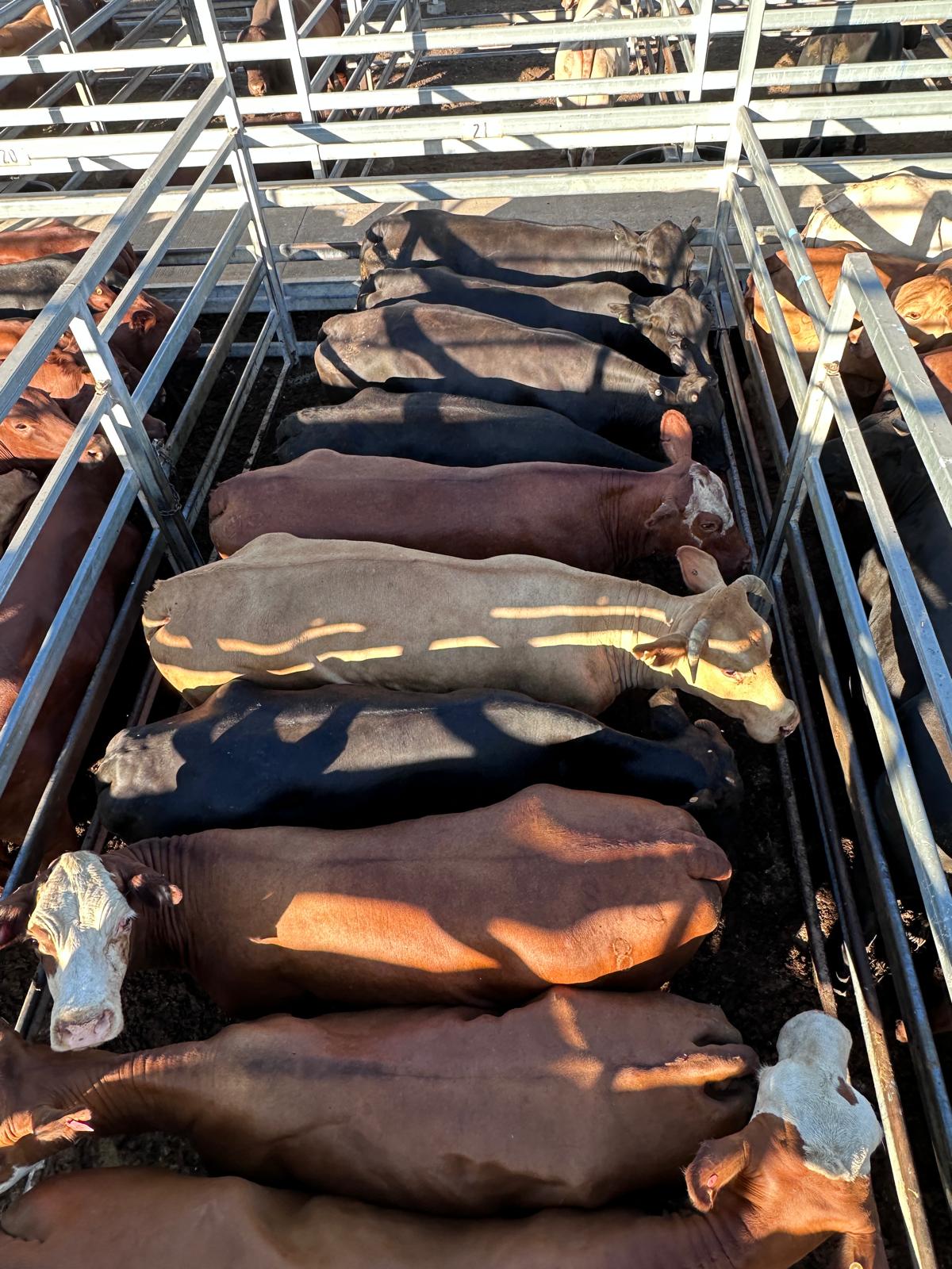 Blog post card image