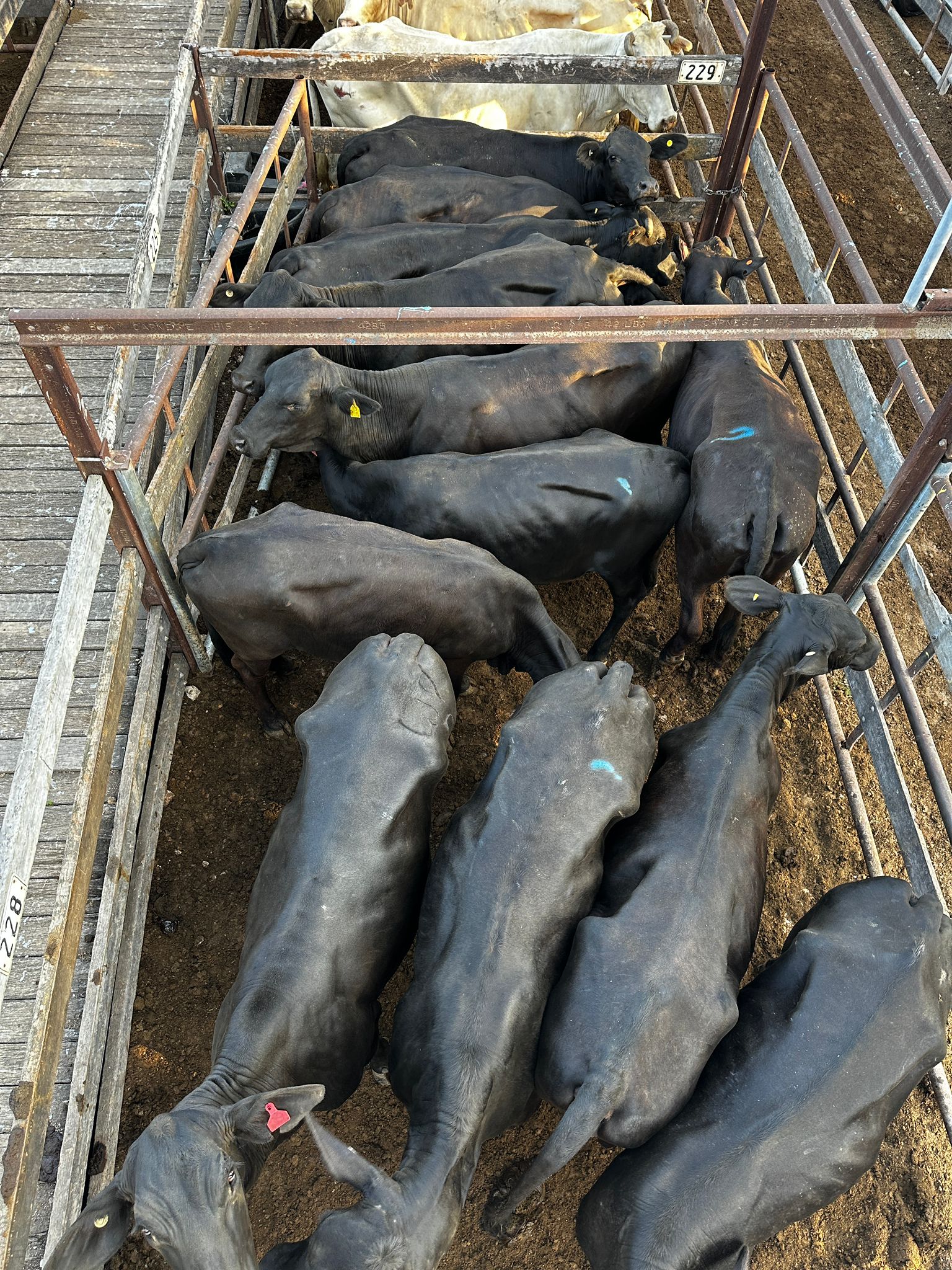 Blog post card image