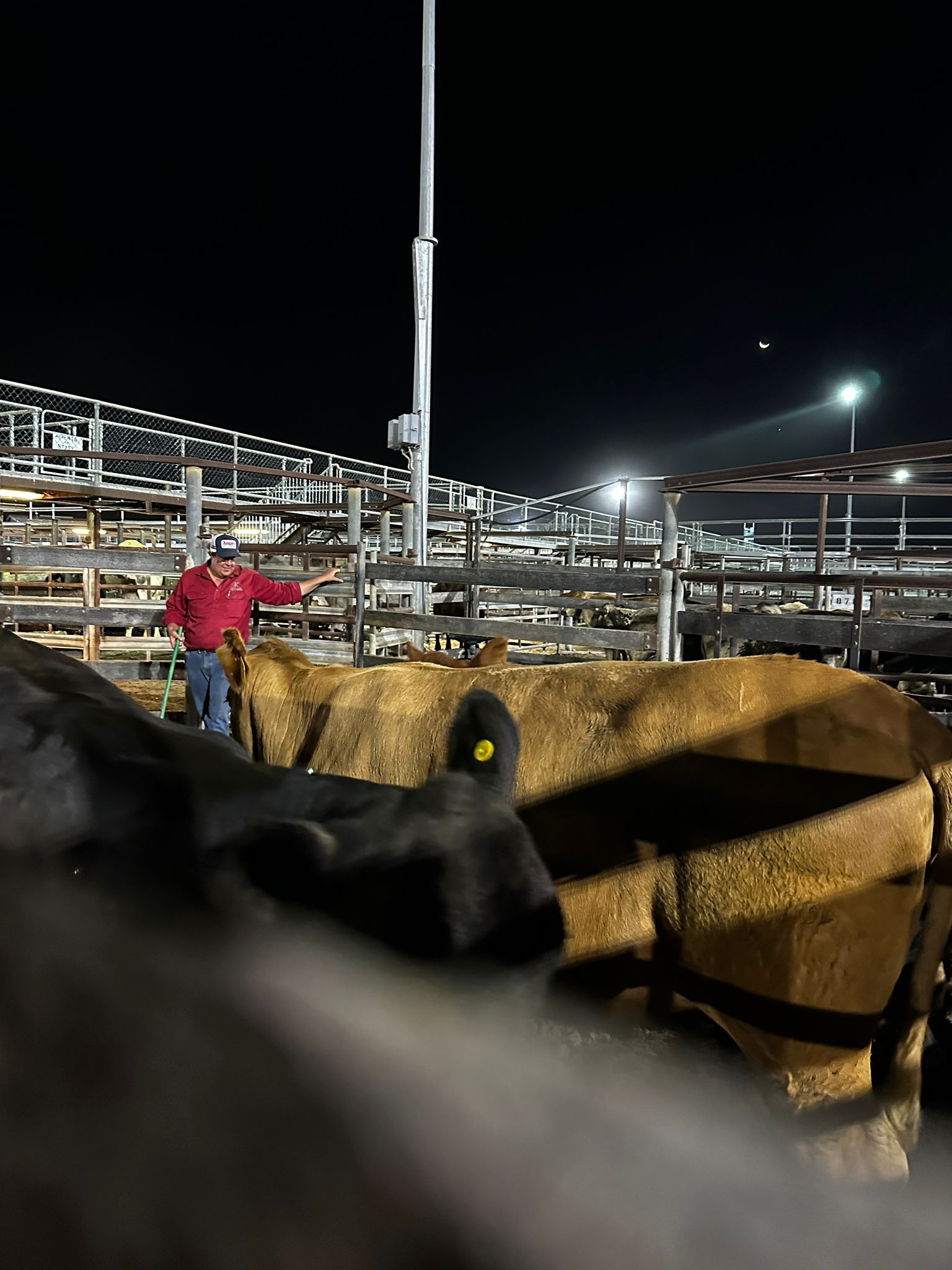 Blog post card image