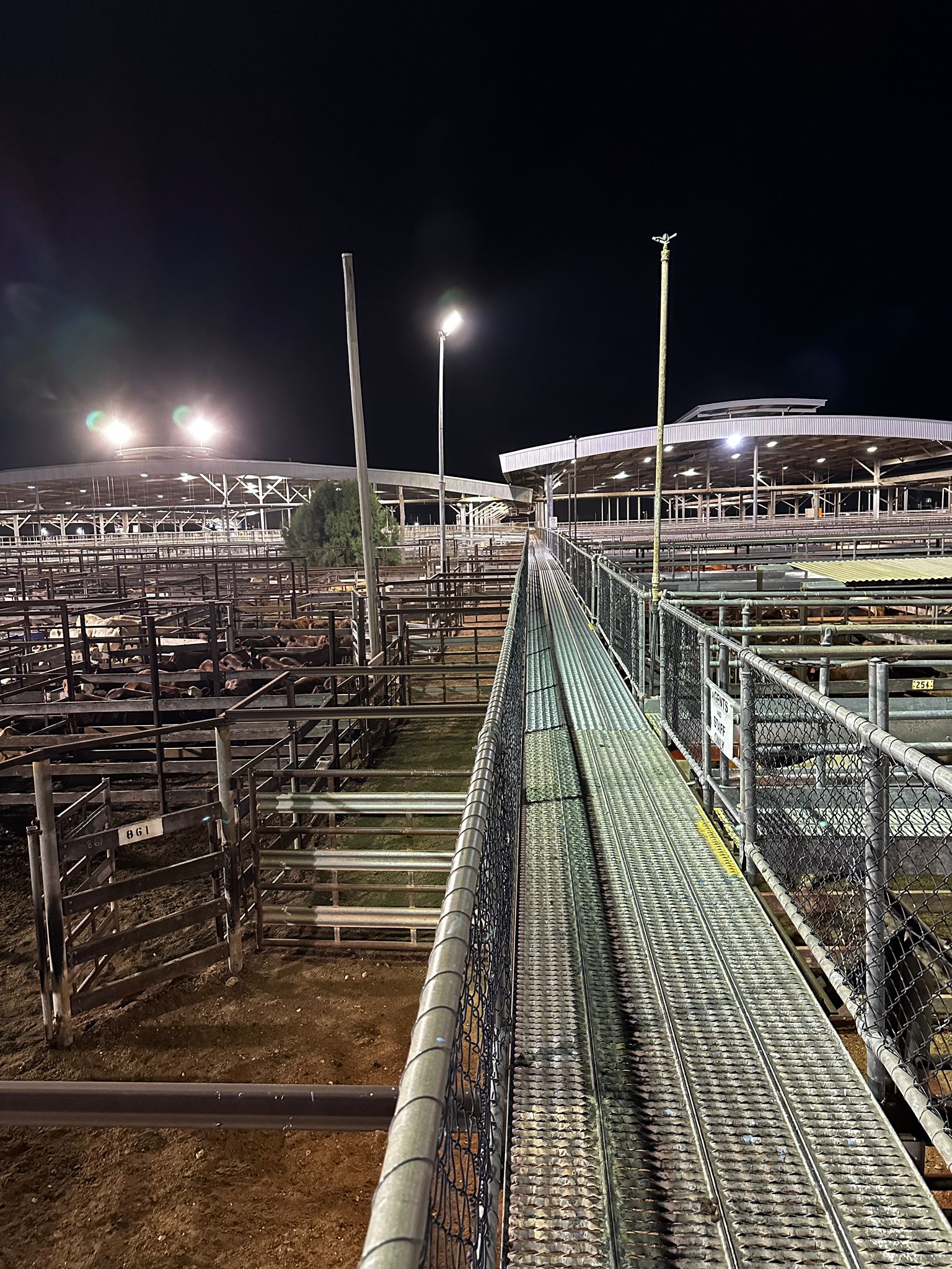 Full width project banner image