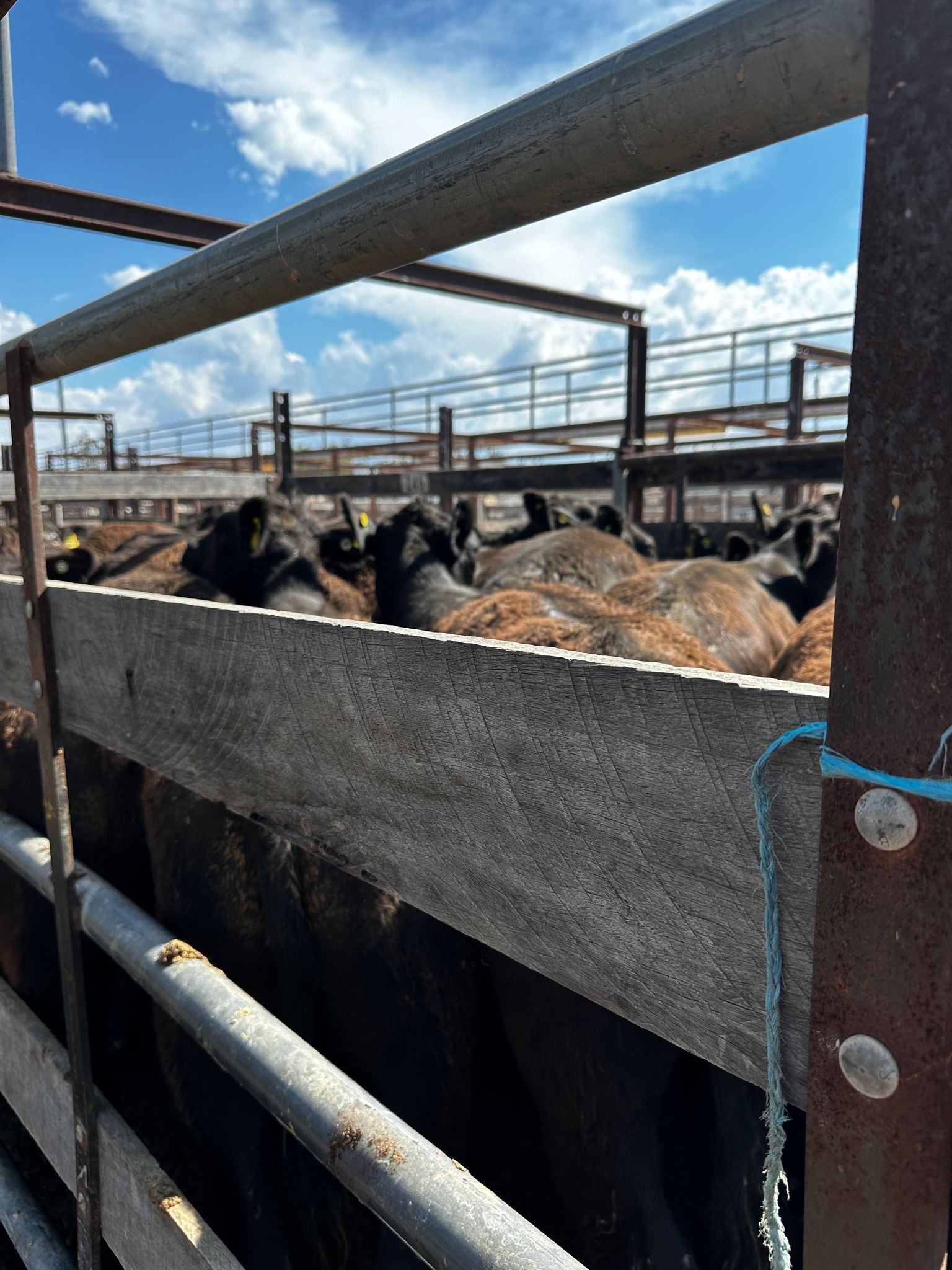 Blog post card image