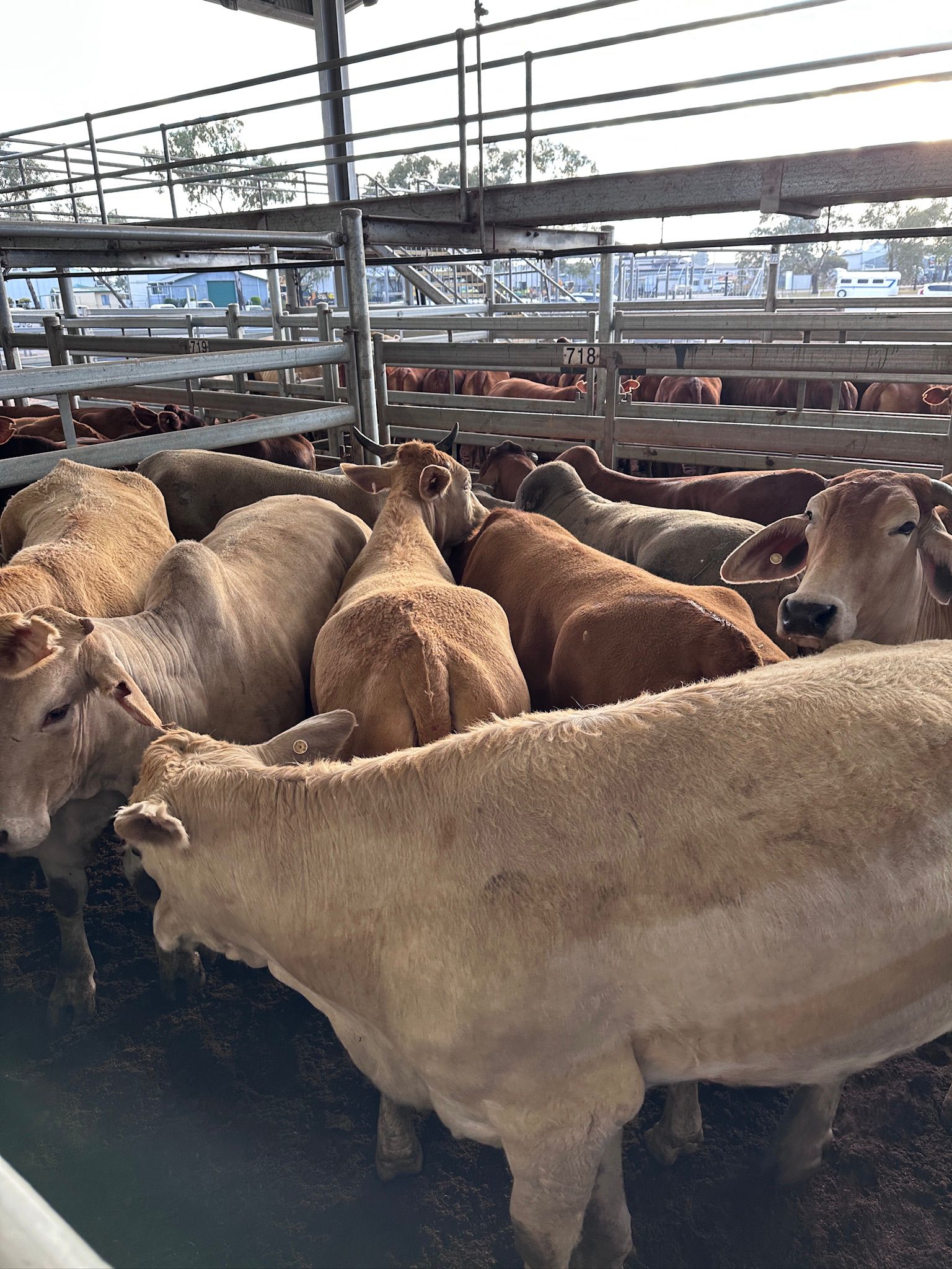 Blog post card image