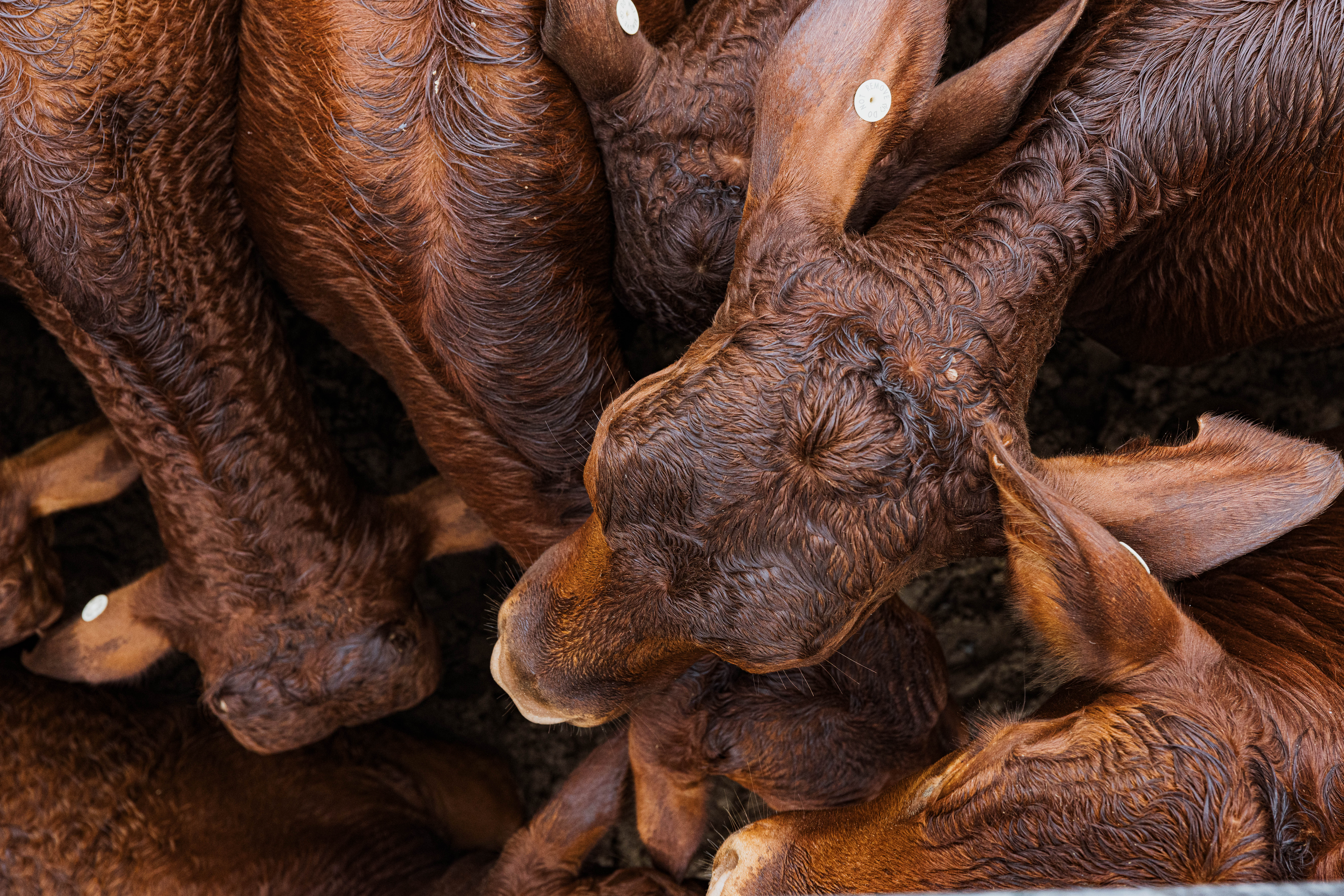 Blog post card image