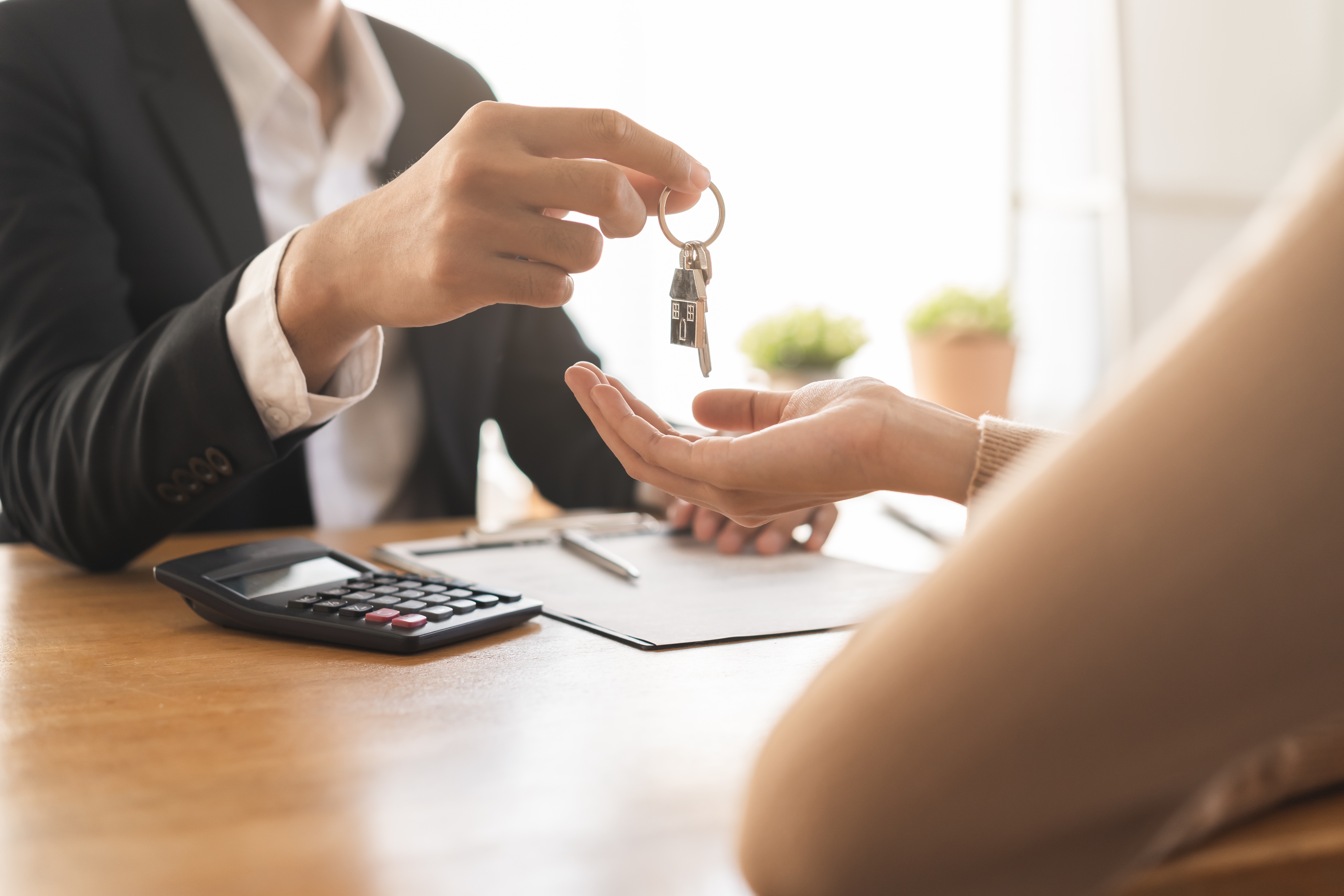 Full width project banner image