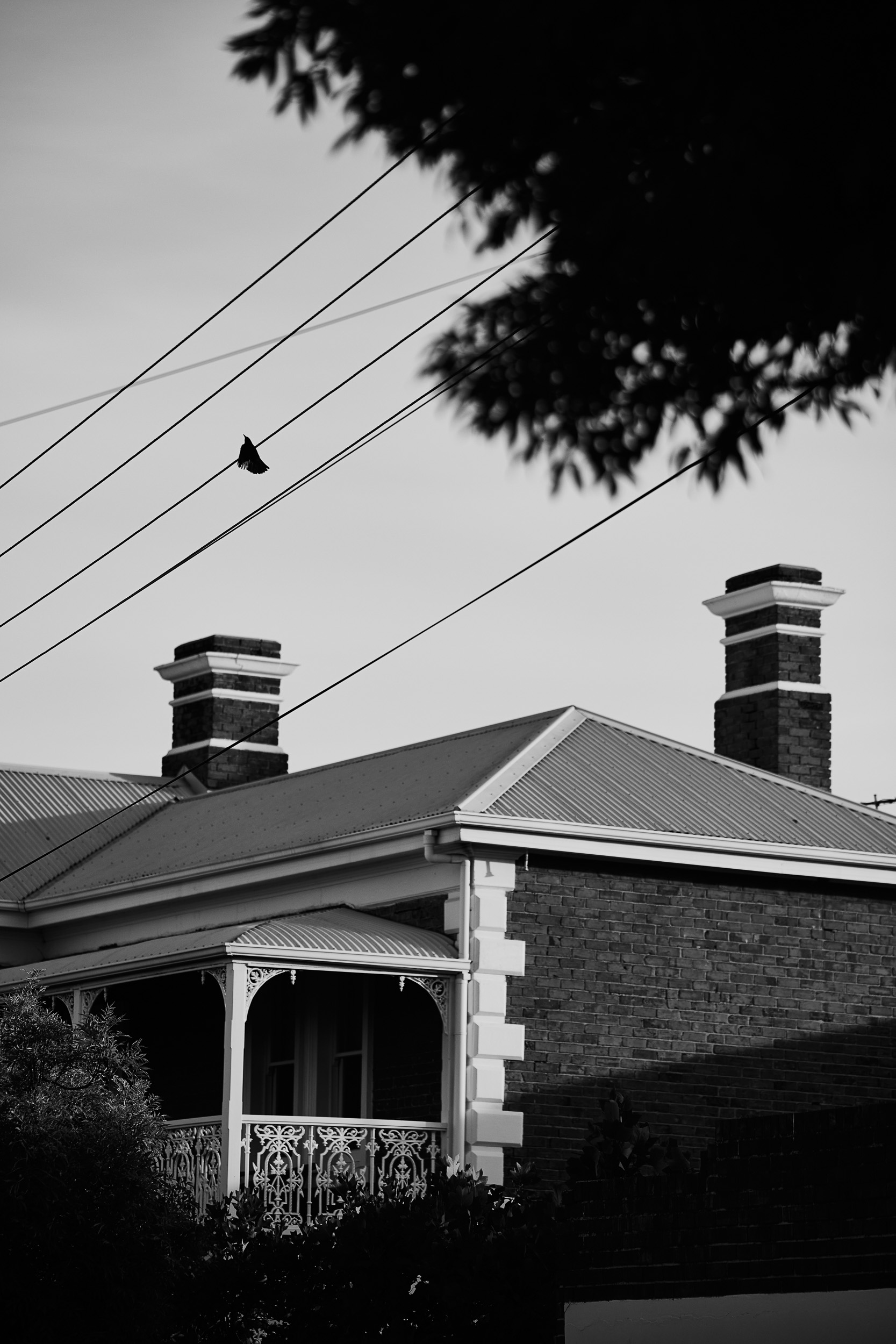 Full width project banner image